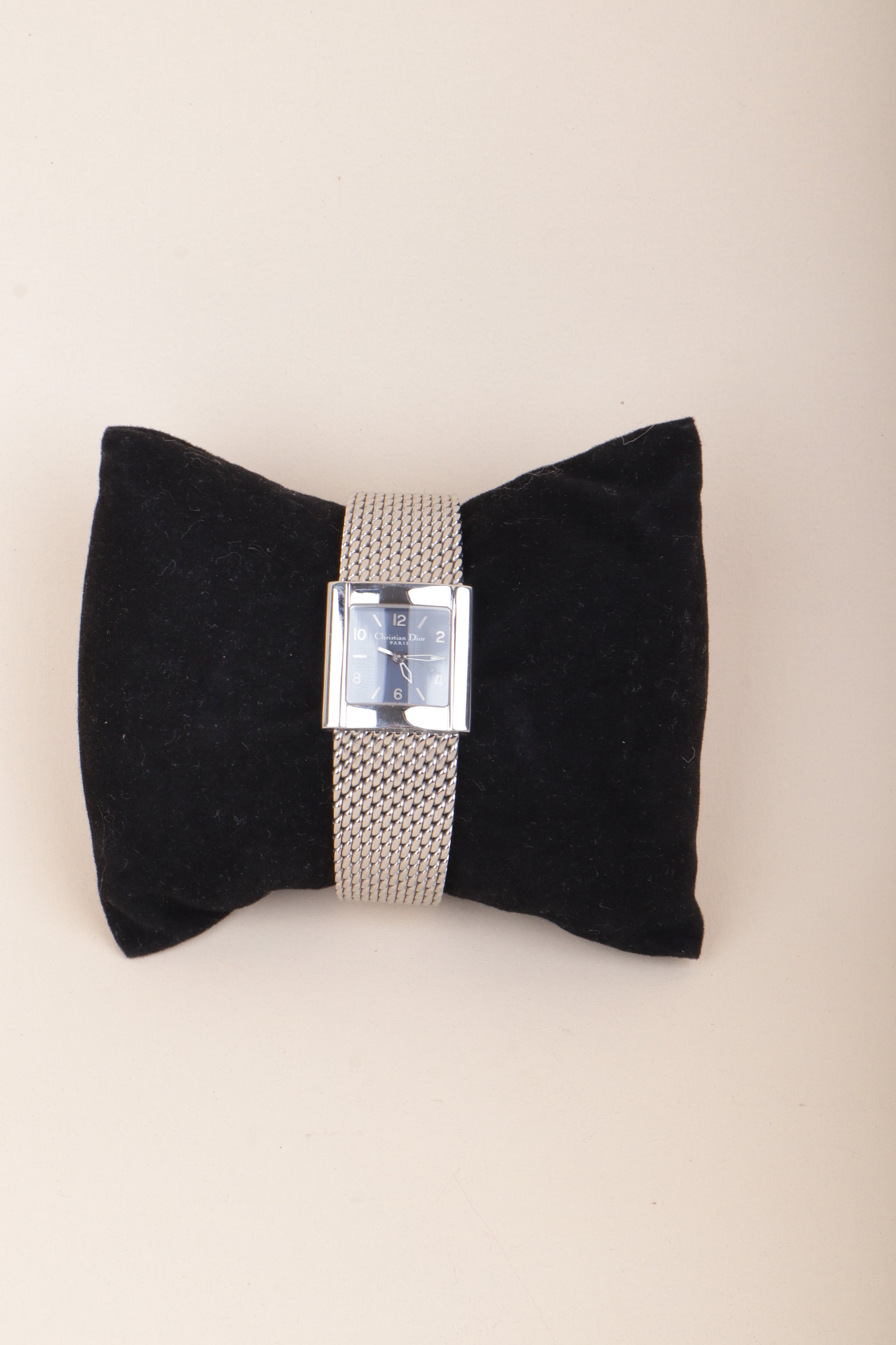 Christian Dior Stainless Steel Riva Watch