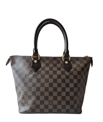 Louis Vuitton Damier Ebene Saleya Bag