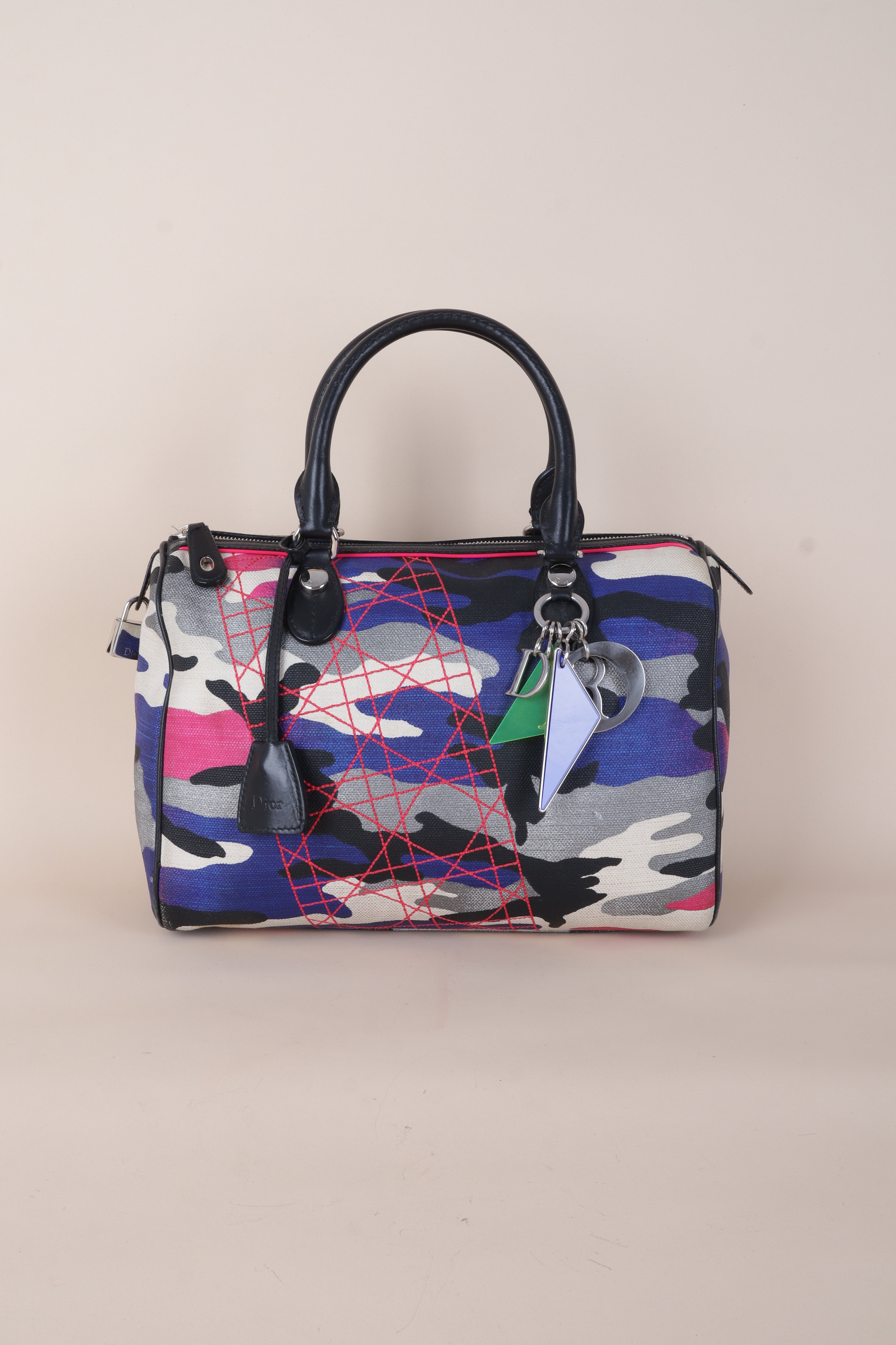 DIOR Canvas MULTICOLOR