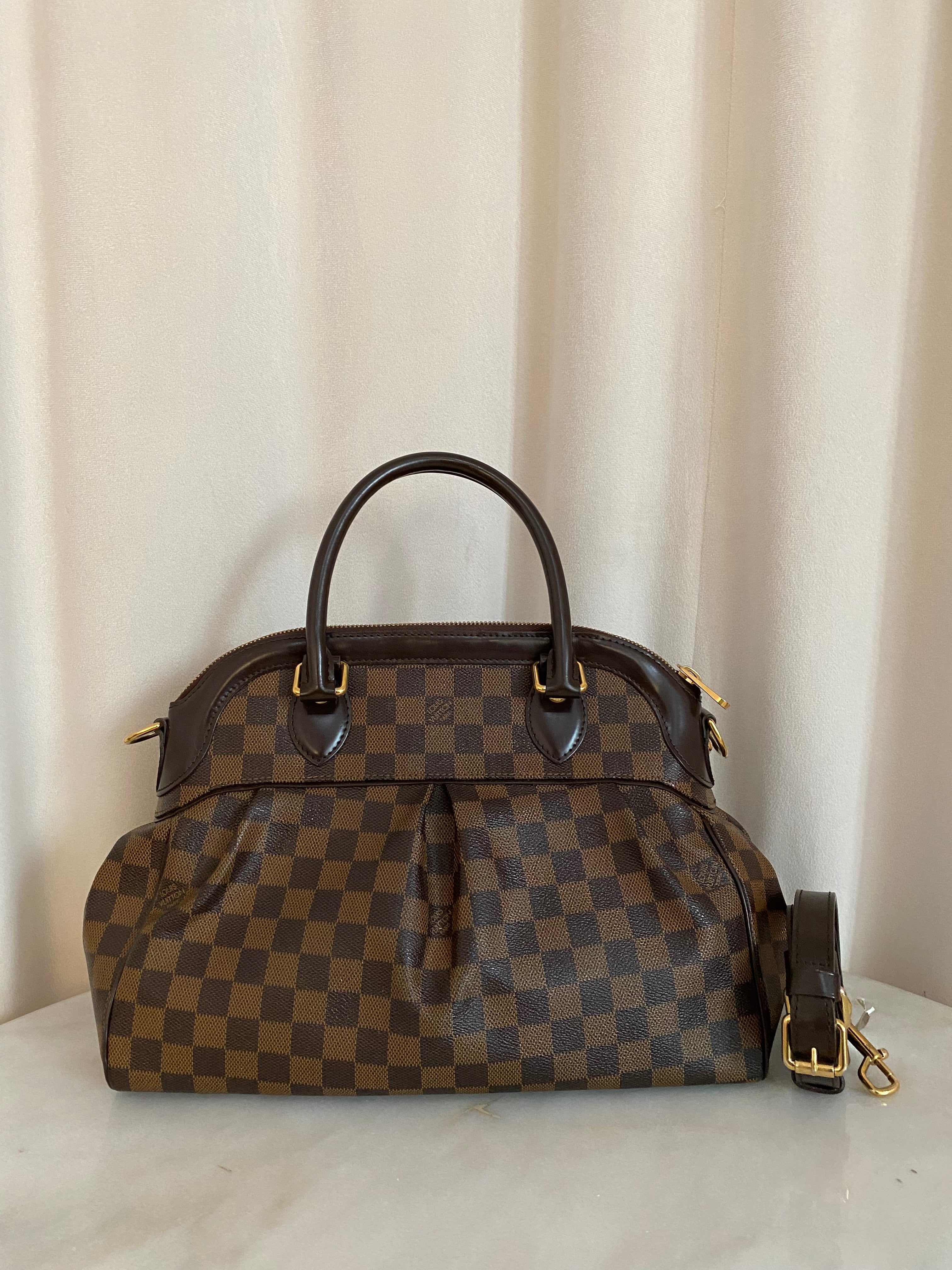 Louis Vuitton Damier Ebene Trevi PM Bag