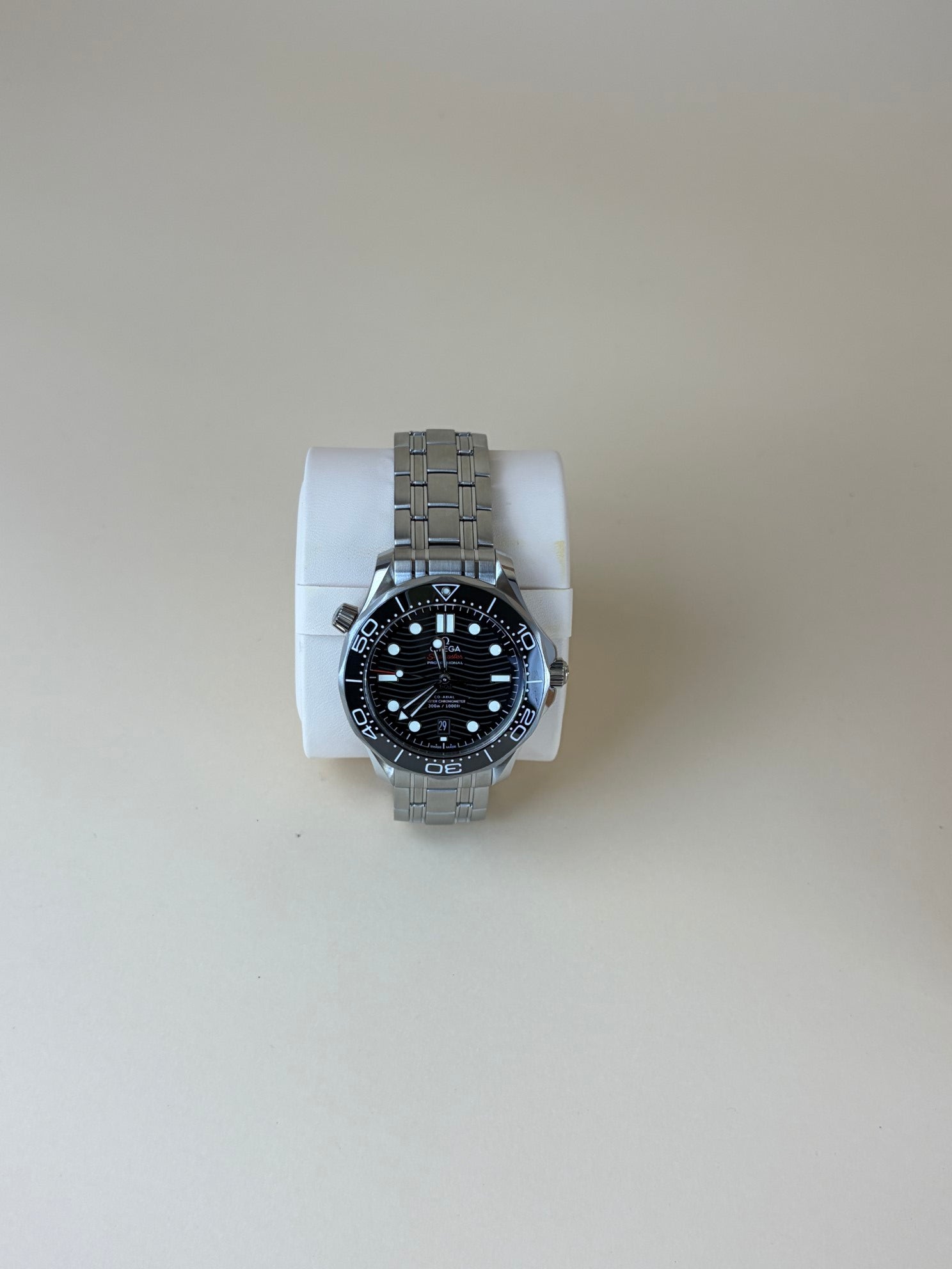 Omega Ted On Steel Master Diver 300m Watch