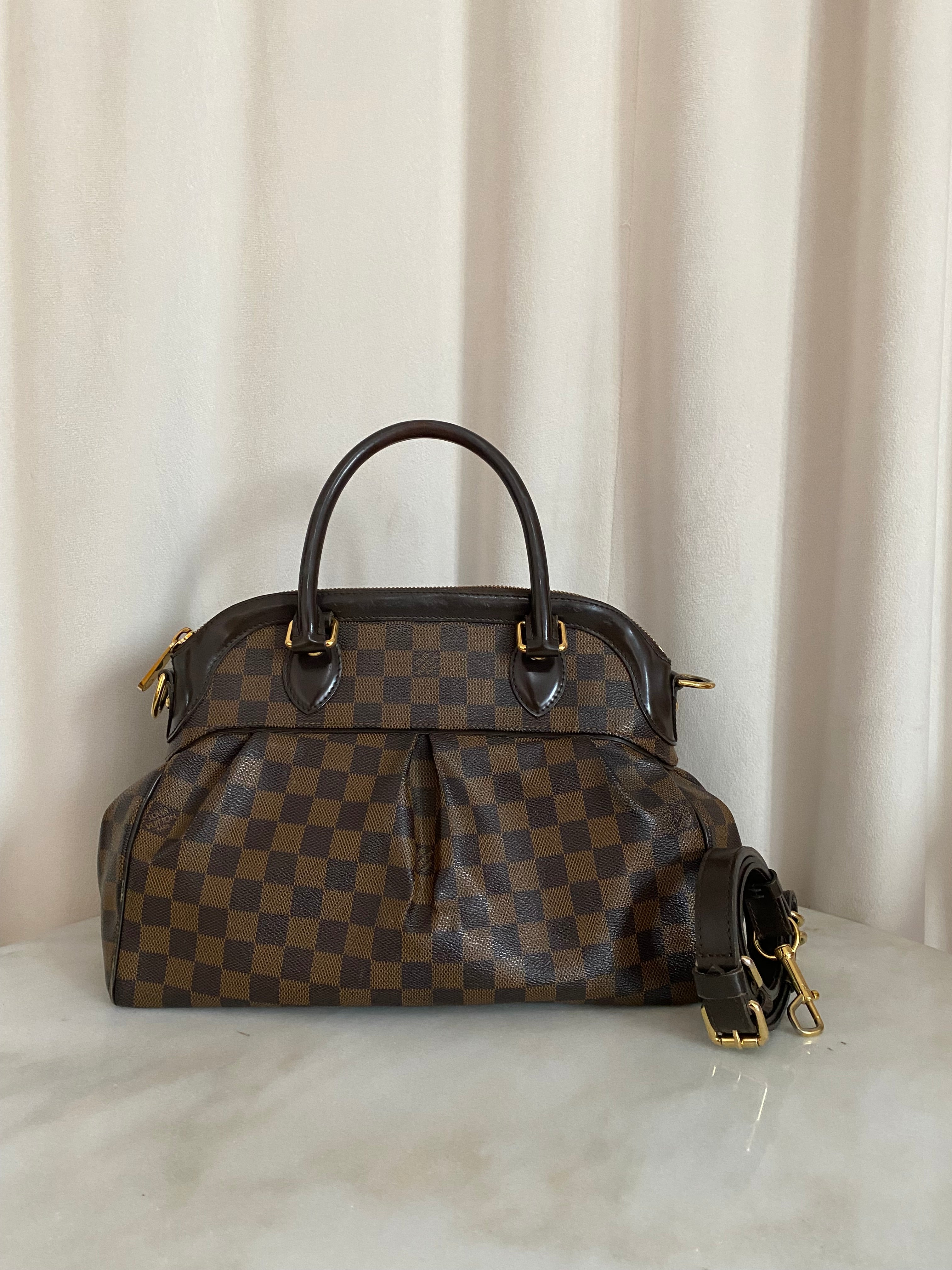 Louis Vuitton Damier Ebene Trevi PM Bag