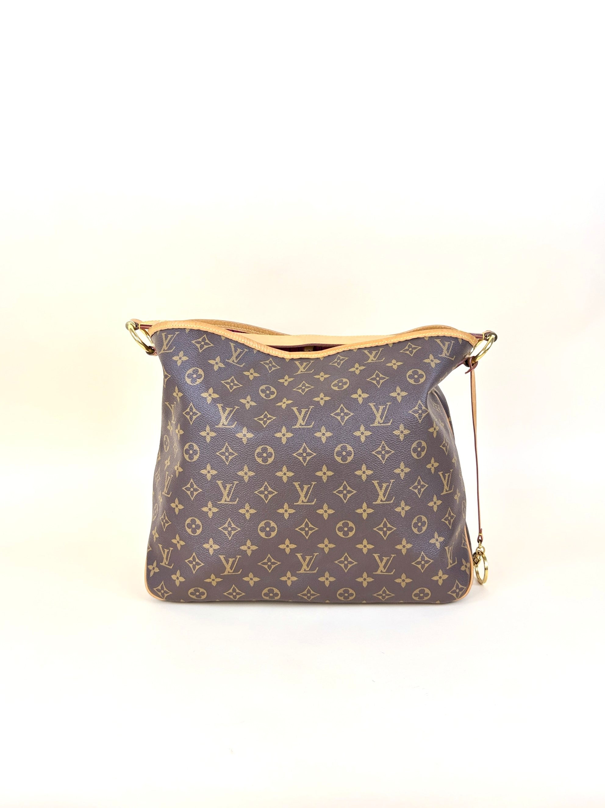 Louis Vuitton Monogram Delightful MM Shoulder Bag