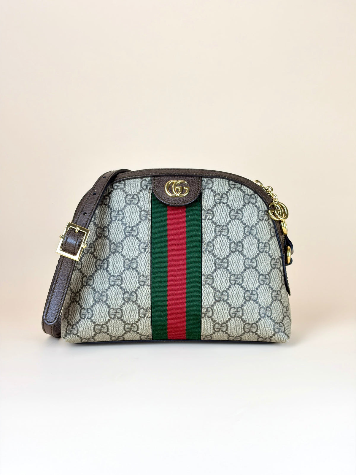 Gucci GG supreme Ophidia small rounded