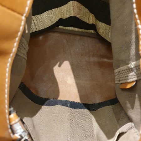 Burberry Camel House Check Bucket Bag