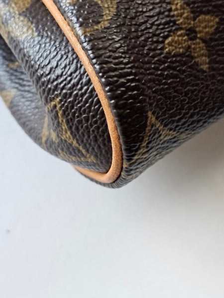 Louis Vuitton Monogram Eva Clutch Bag