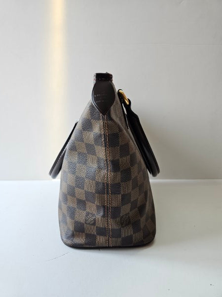 Louis Vuitton Damier Ebene Saleya Bag