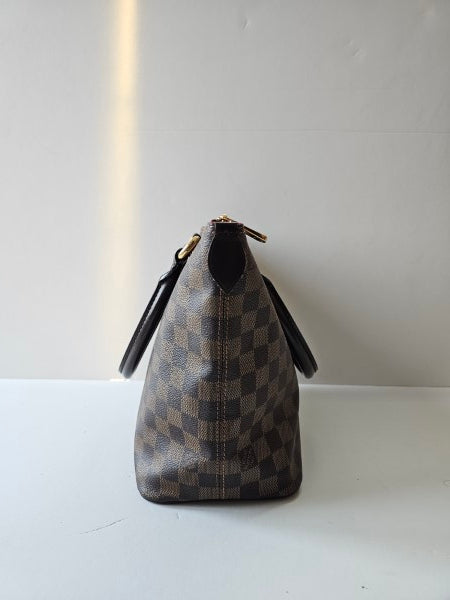 Louis Vuitton Damier Ebene Saleya Bag