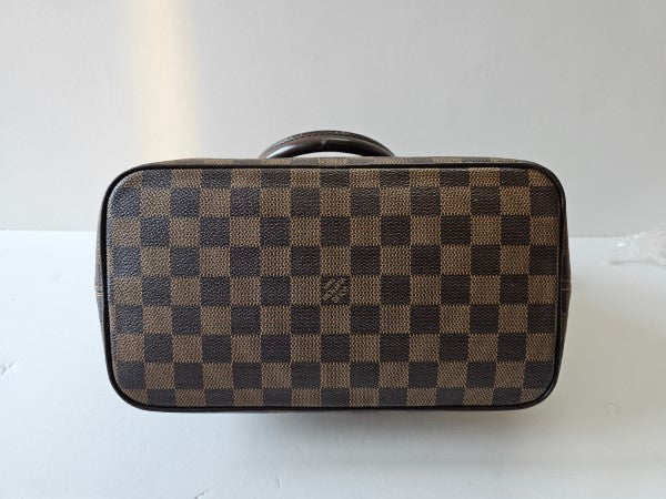 Louis Vuitton Damier Ebene Saleya Bag