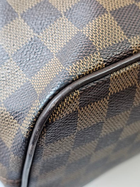 Louis Vuitton Damier Ebene Saleya Bag