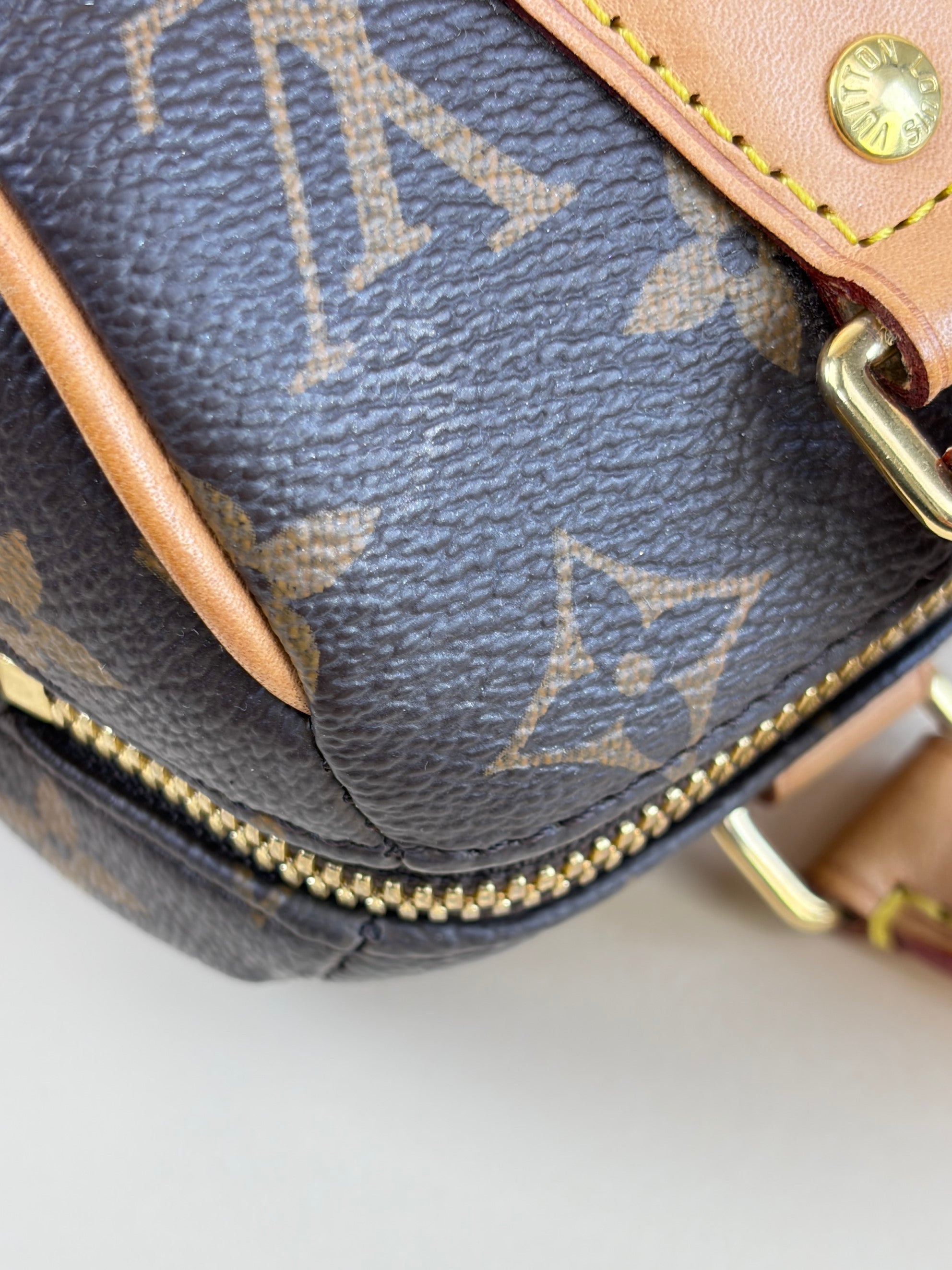 Louis Vuitton Monogram canvas Speedy bandouliere 20tote bag