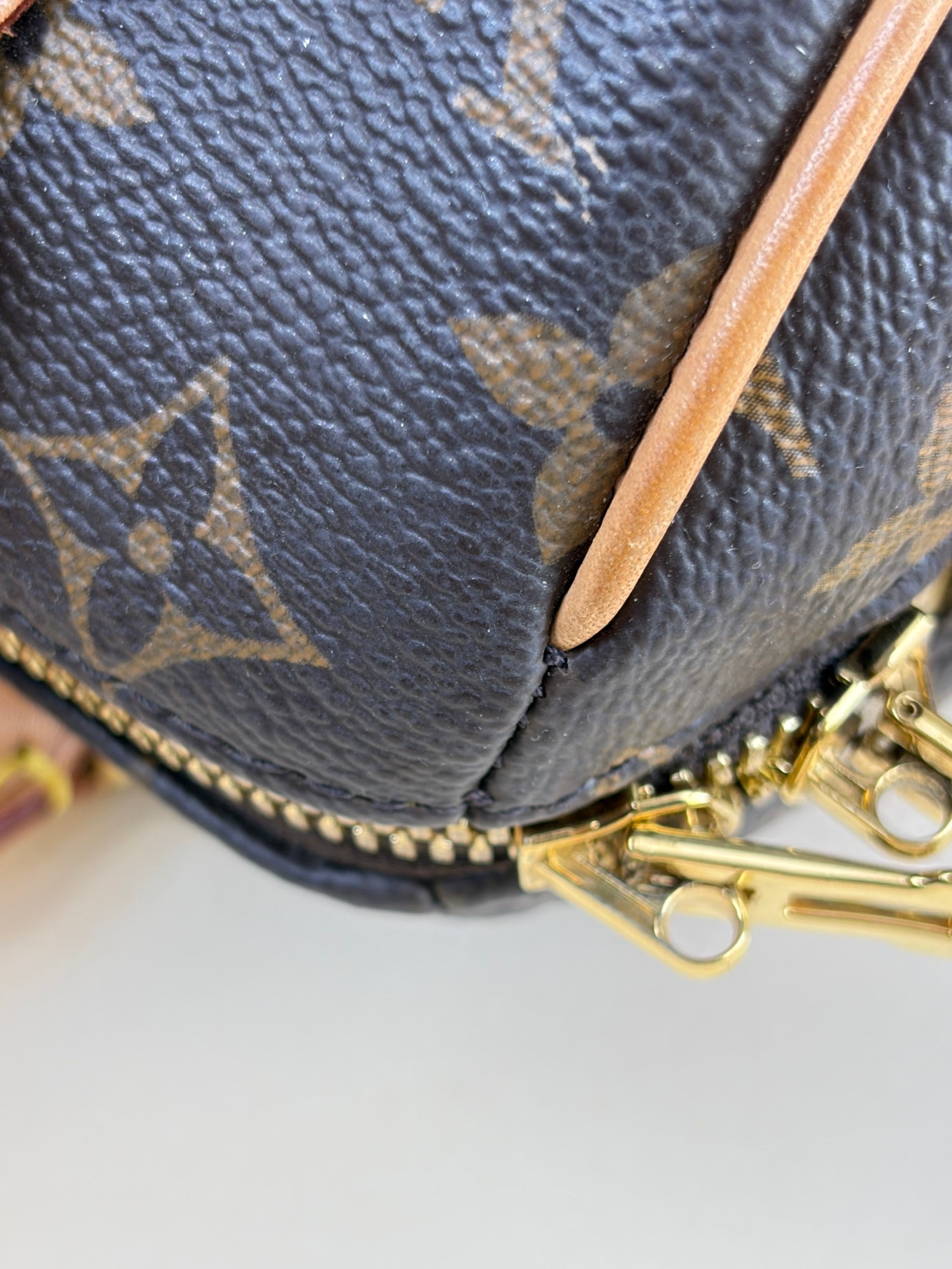 Louis Vuitton Monogram canvas Speedy bandouliere 20tote bag