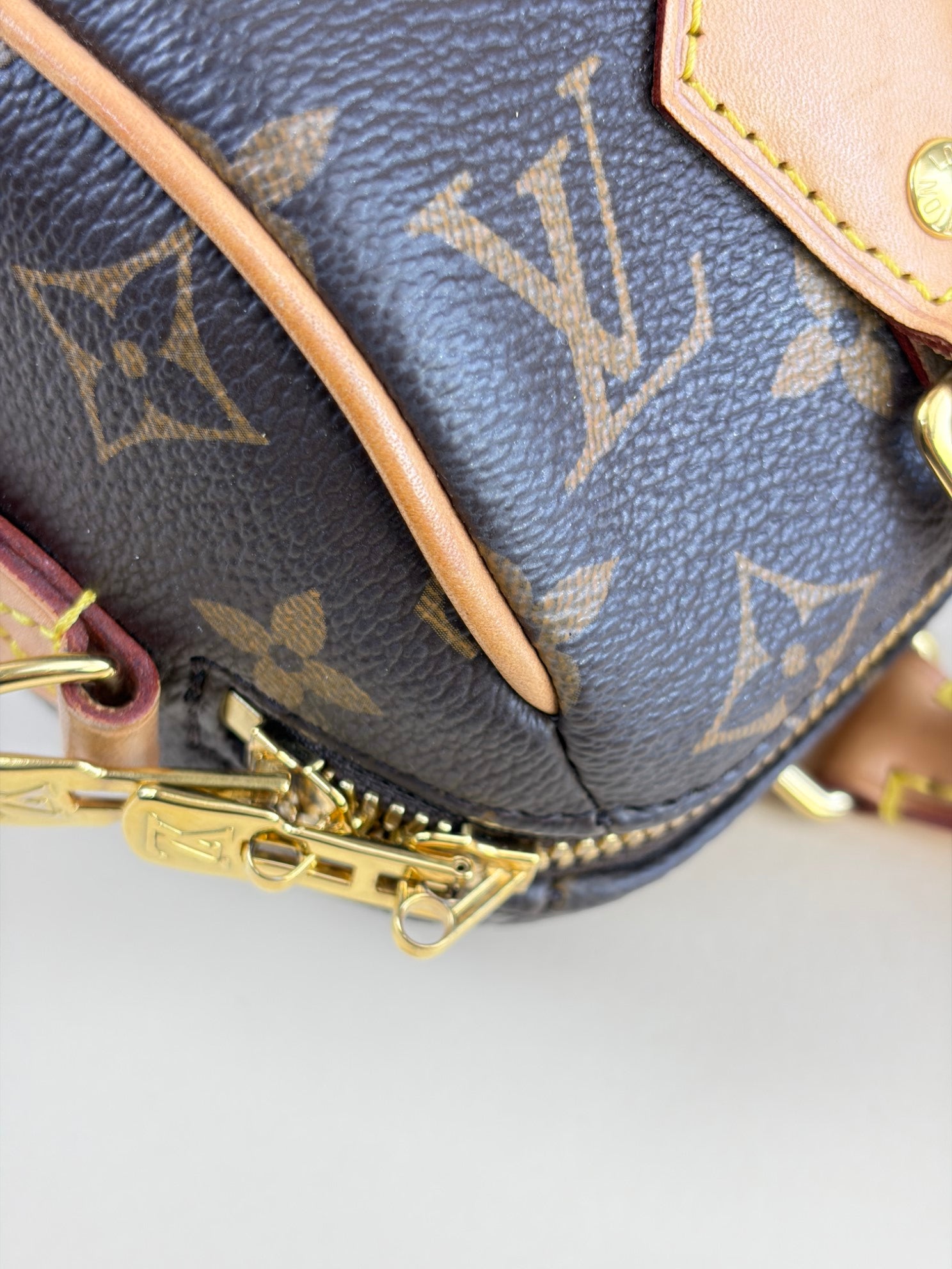 Louis Vuitton Monogram canvas Speedy bandouliere 20tote bag