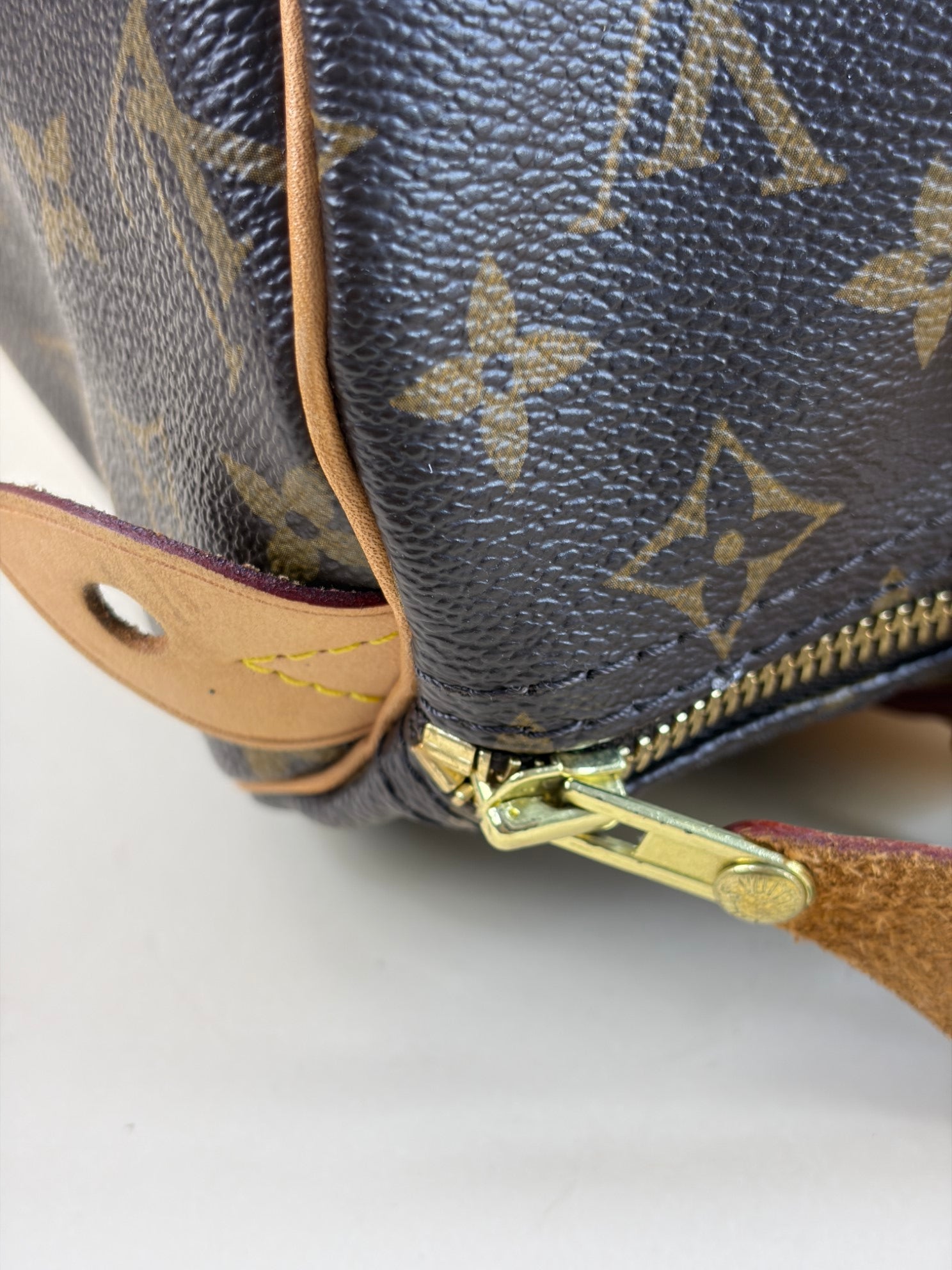 Louis Vuitton speedy 30 monogram