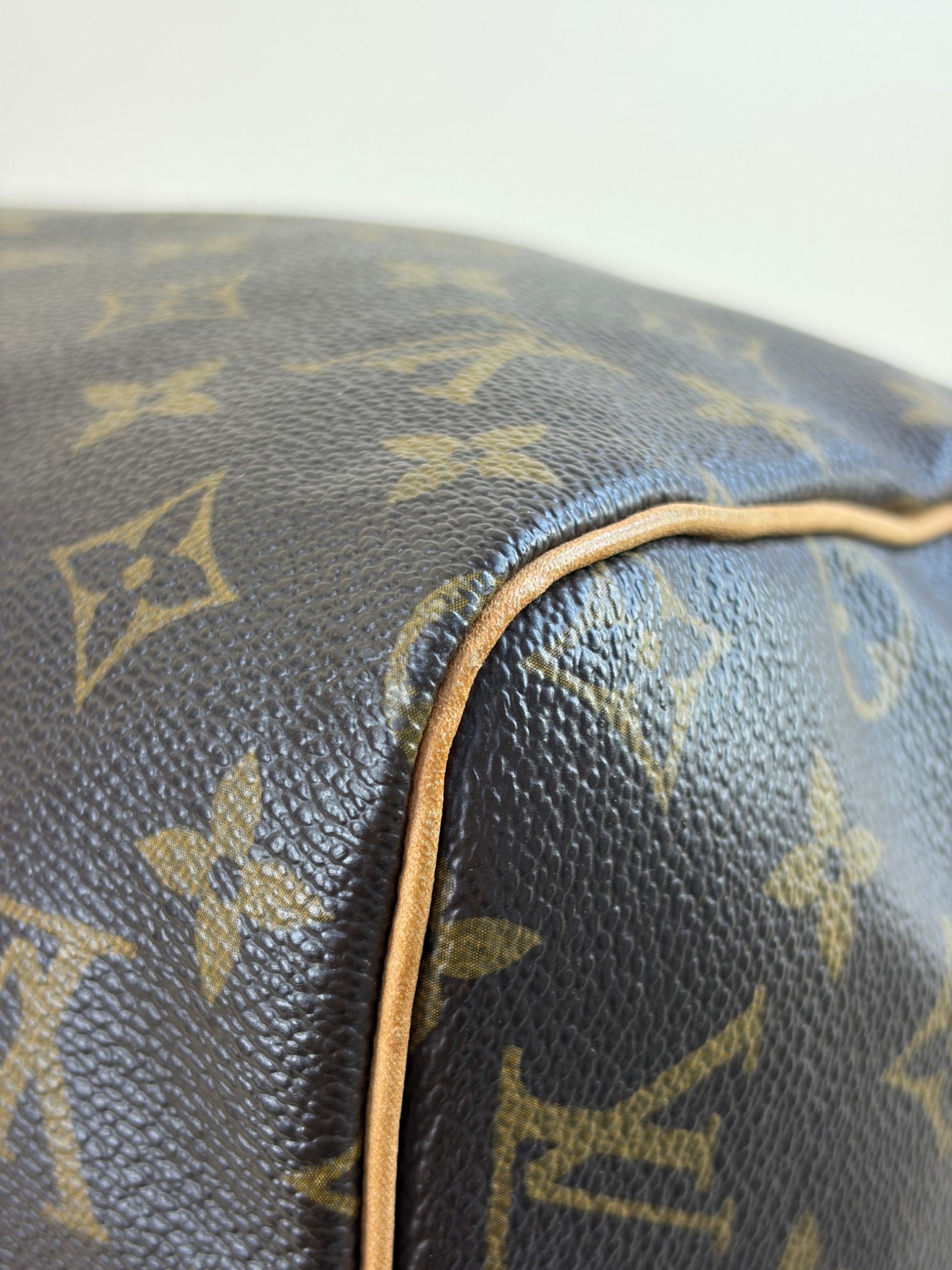 Louis Vuitton speedy 30 monogram