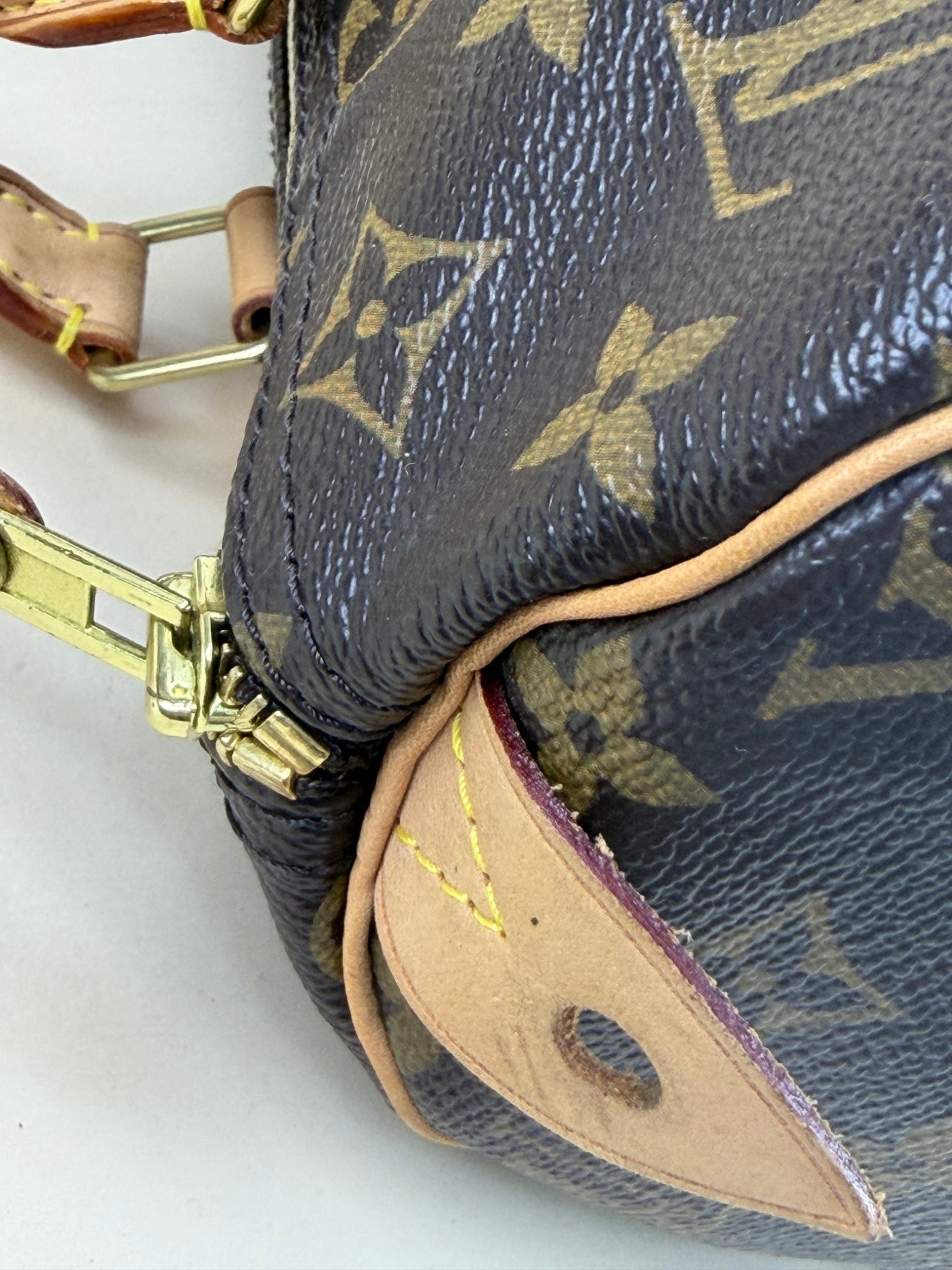 Louis Vuitton speedy 30 monogram