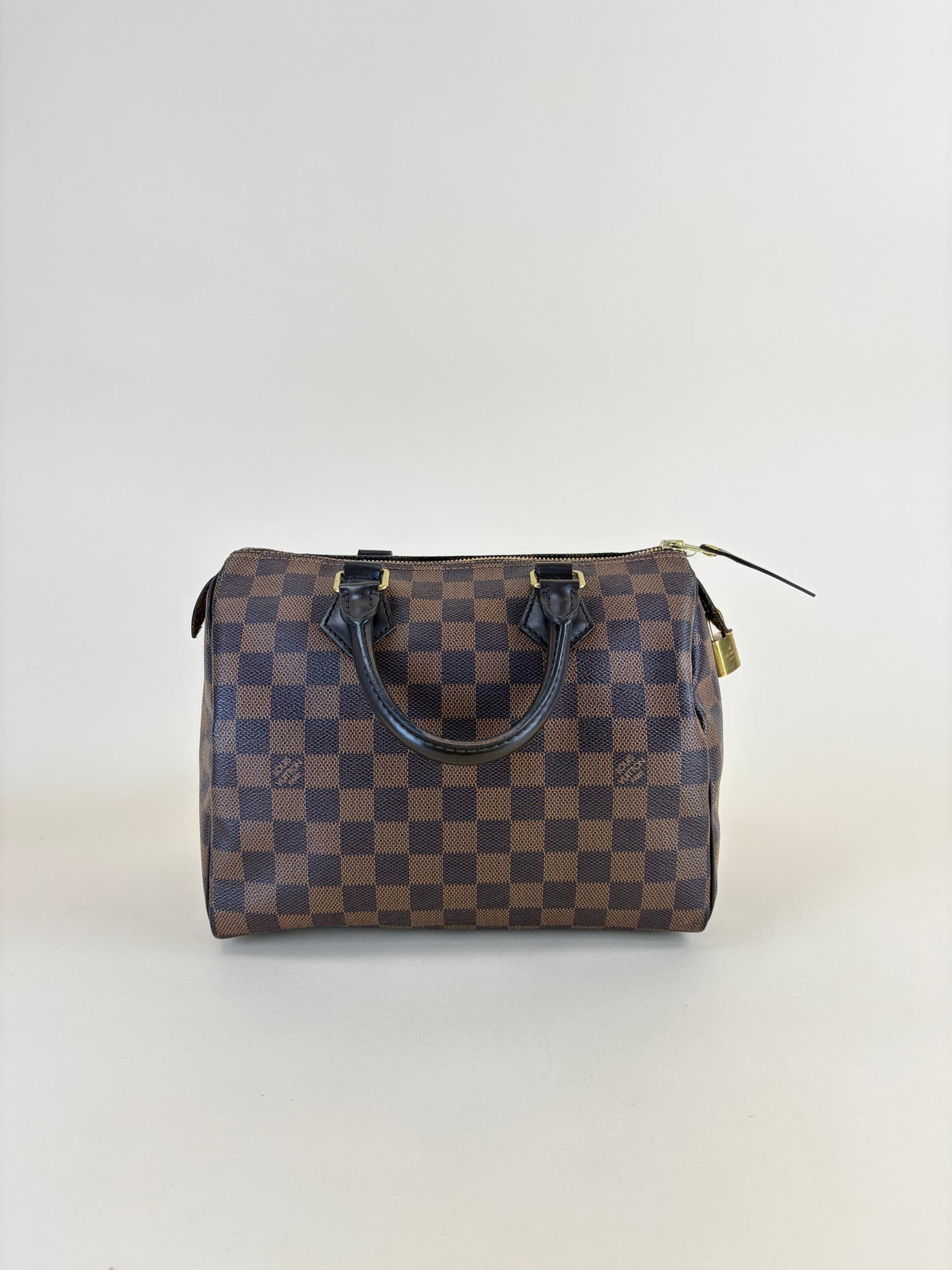 Louis Vuitton Damier Ebene Speedy 25 Bag