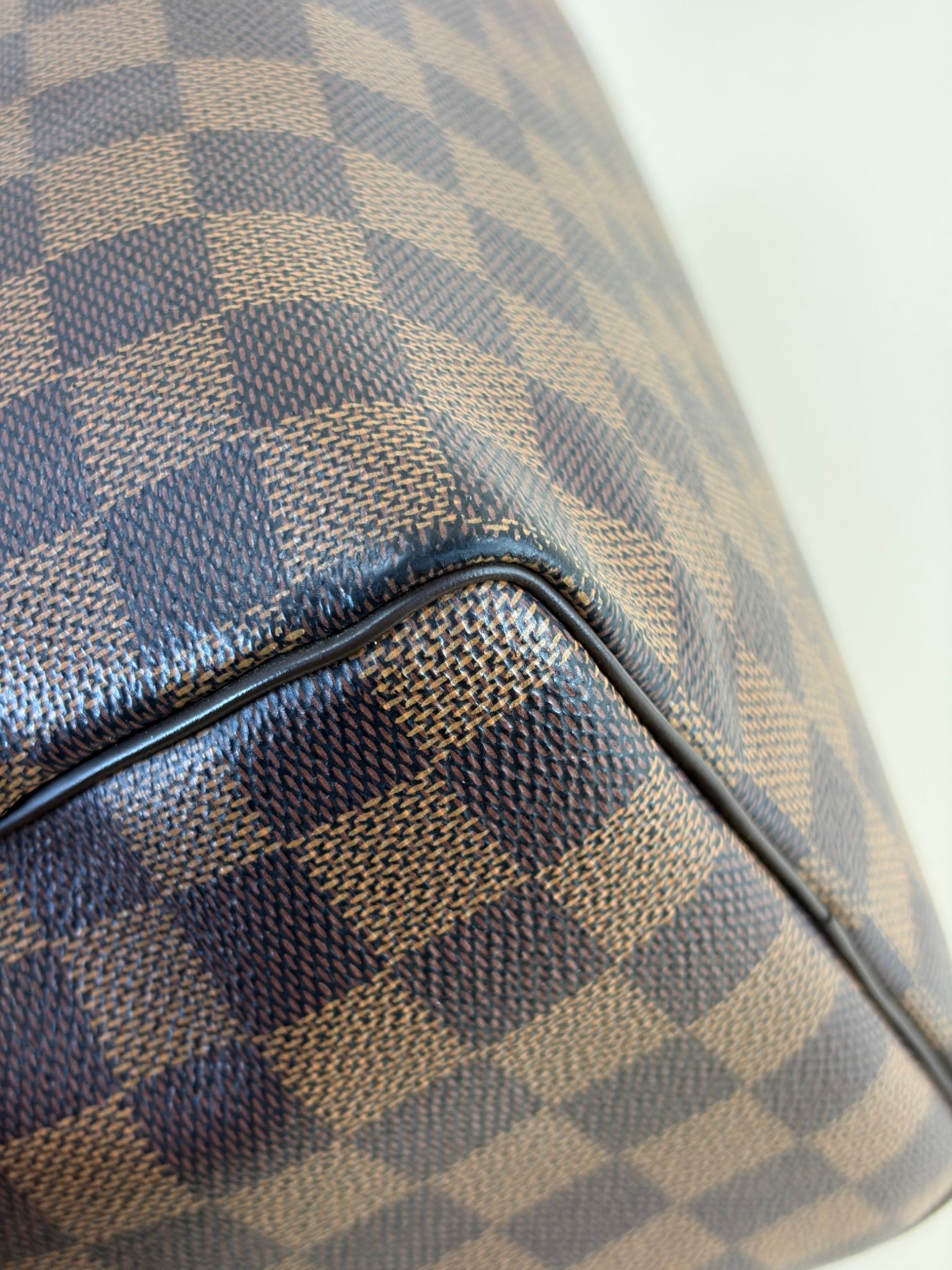 Louis Vuitton Damier Ebene Speedy 25 Bag