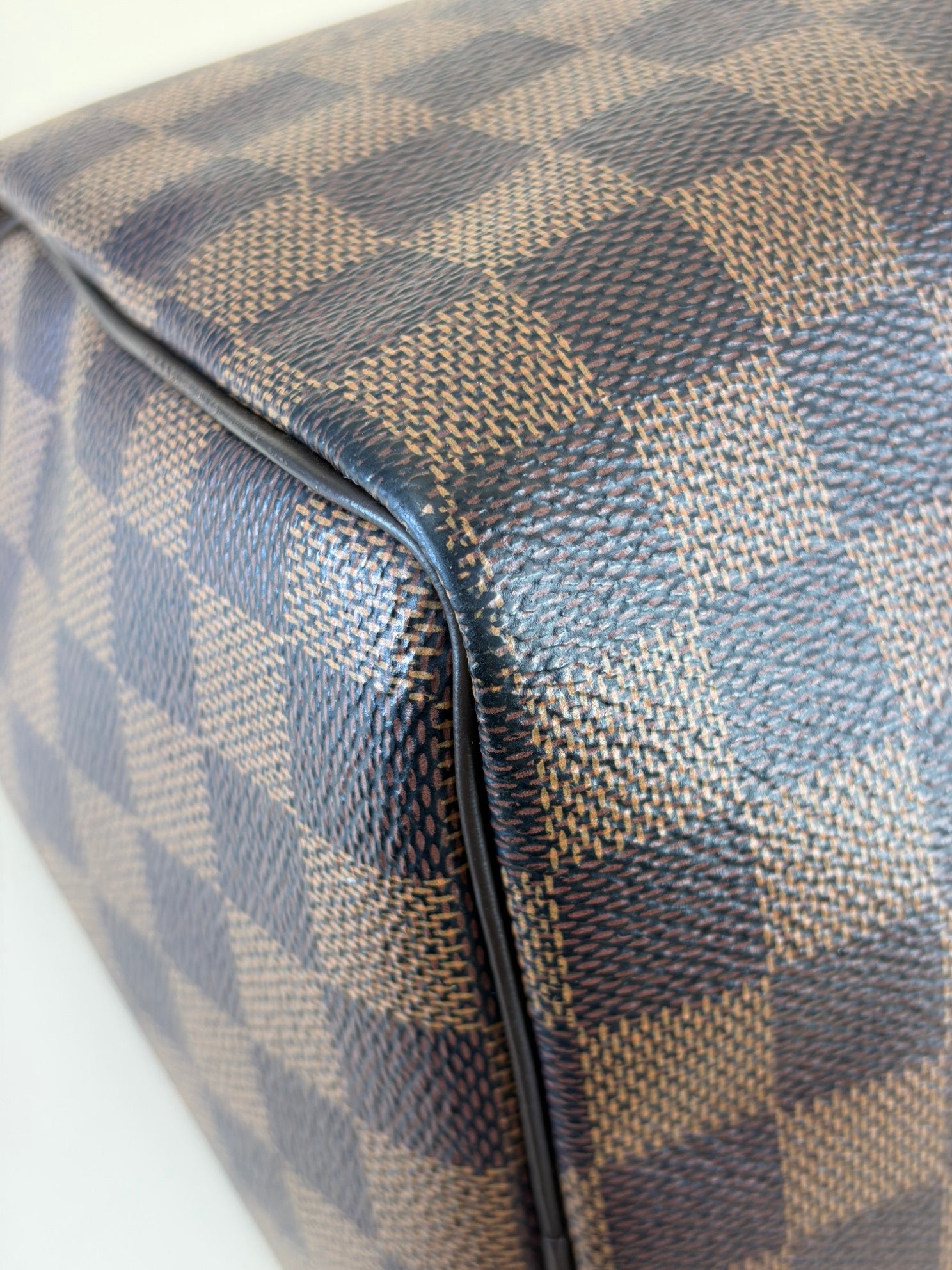 Louis Vuitton Damier Ebene Speedy 25 Bag
