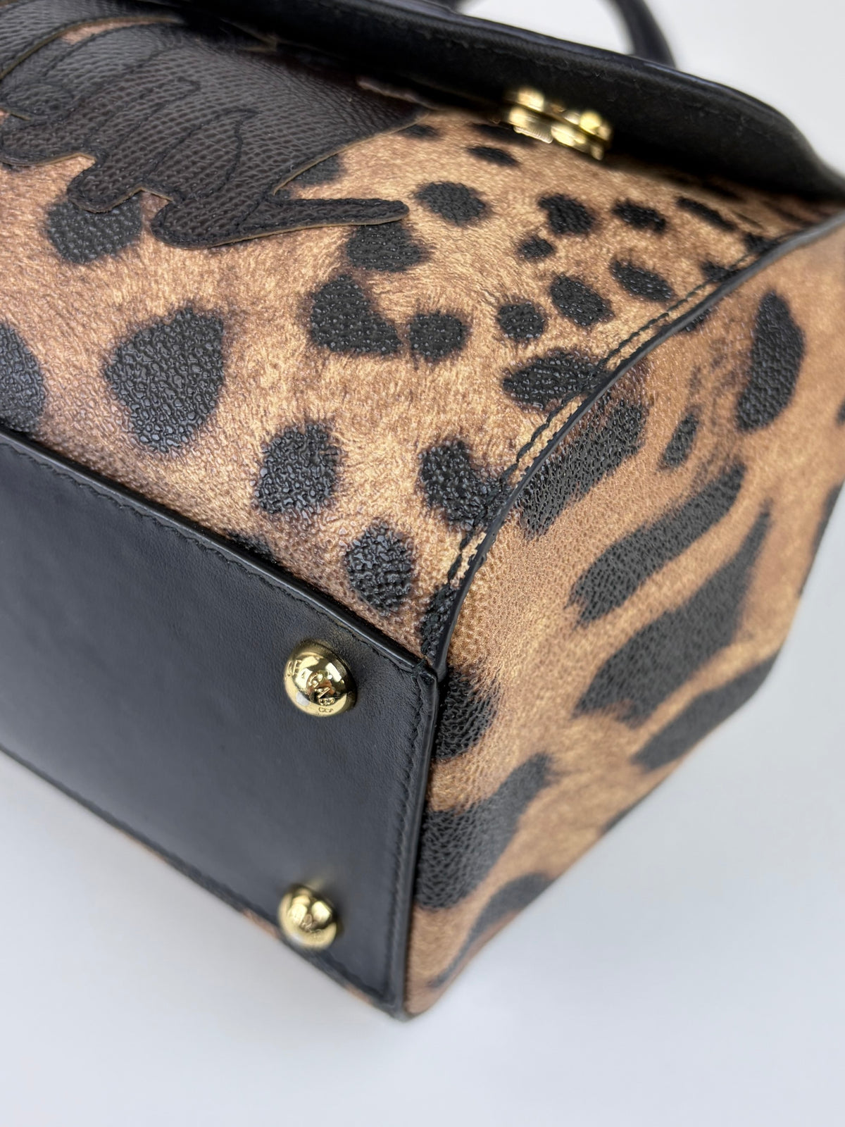Dolce & Gabbana miss Sicily family patch leopard medium bag