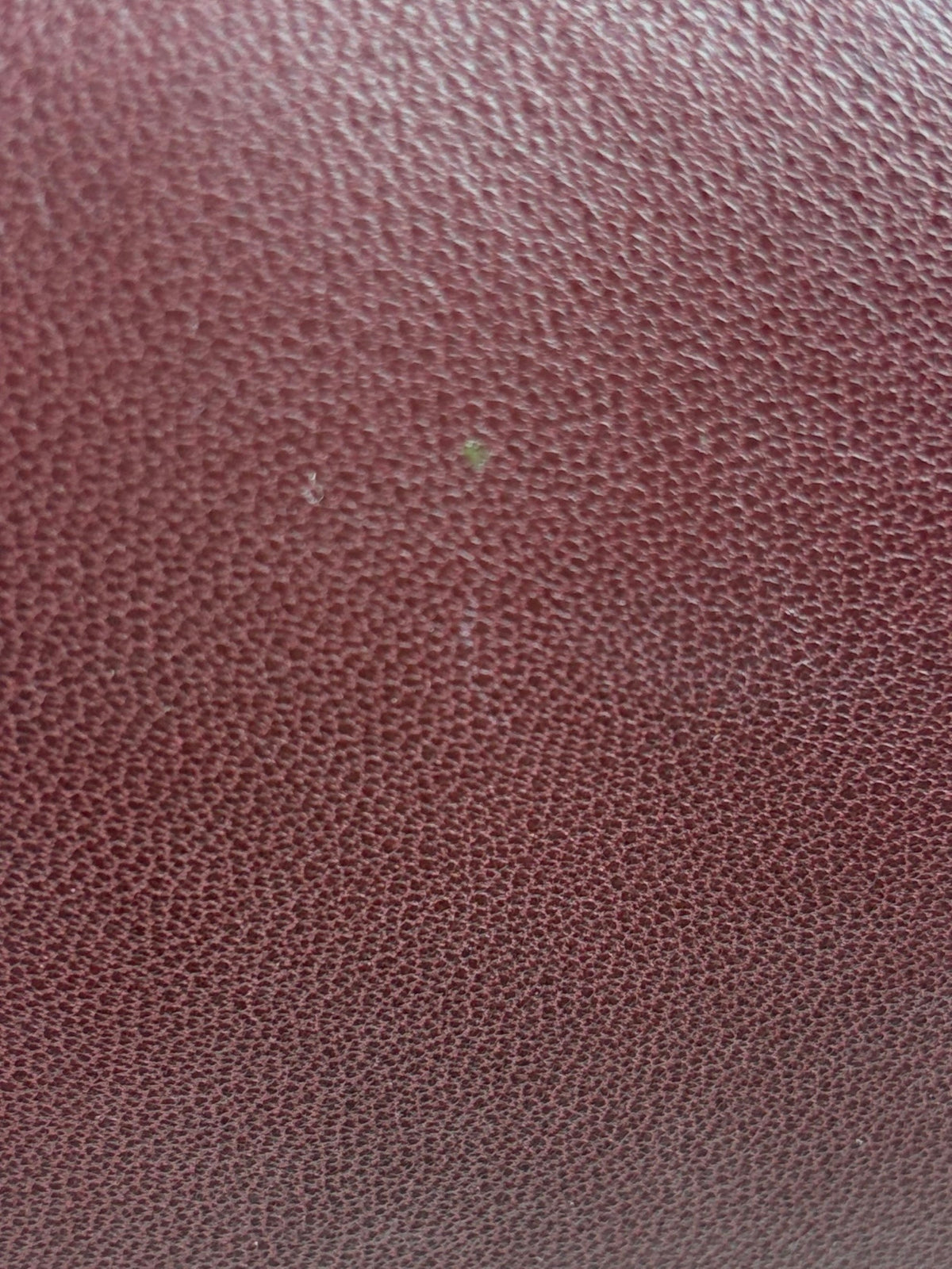 ysl burgundy calypso lambskin small zipped pouch