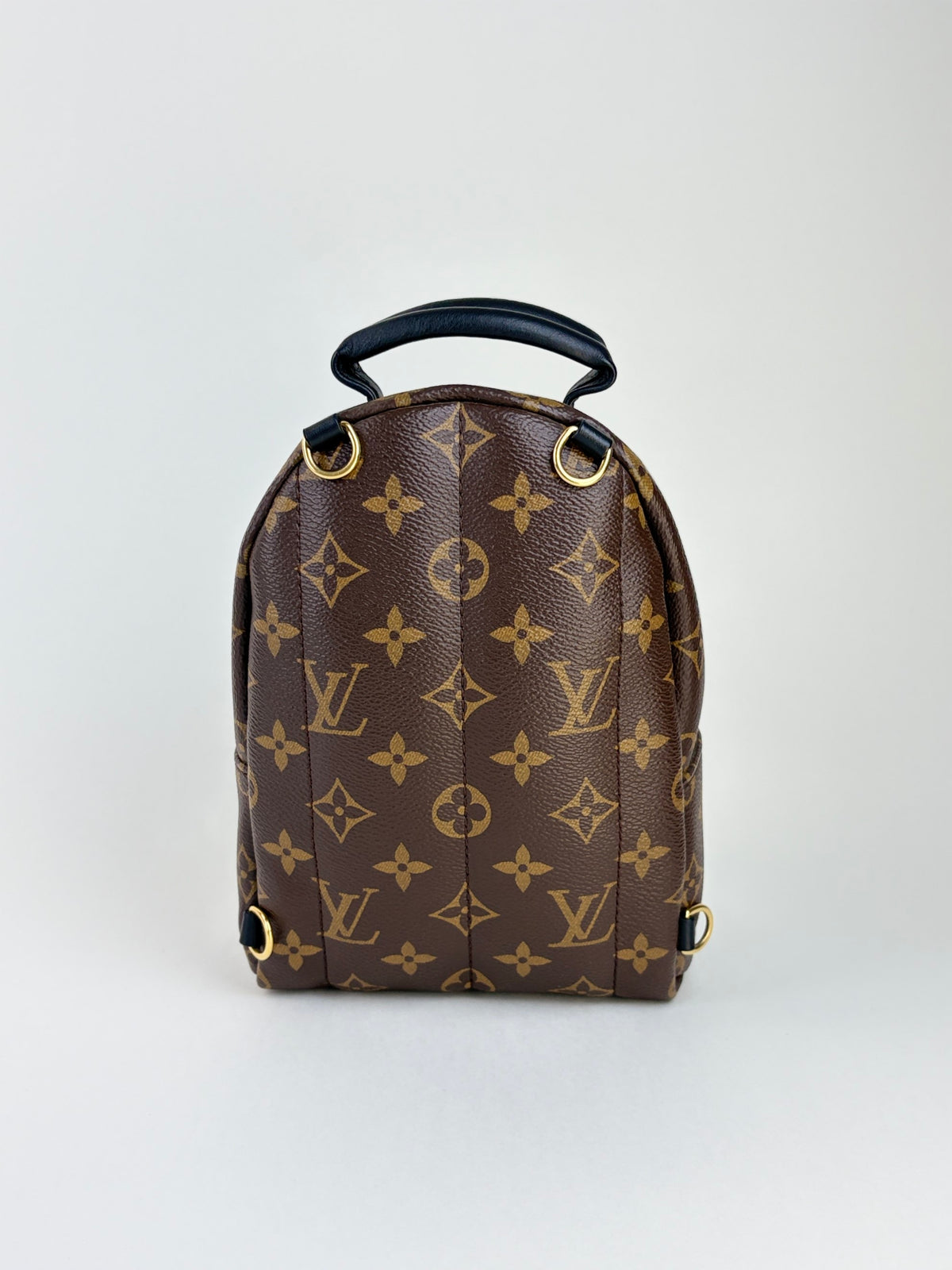 Louis Vuitton Bicolor Palm Springs Mini Backpack Bag