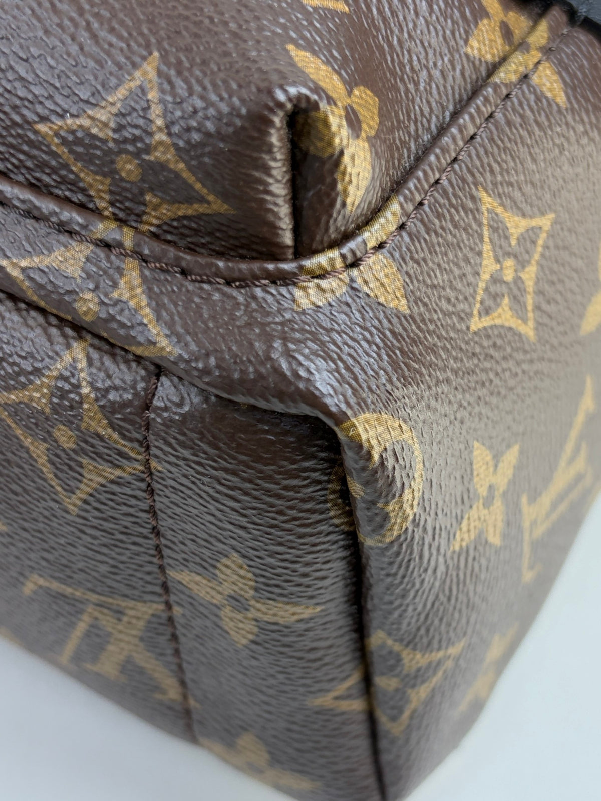 Louis Vuitton Bicolor Palm Springs Mini Backpack Bag