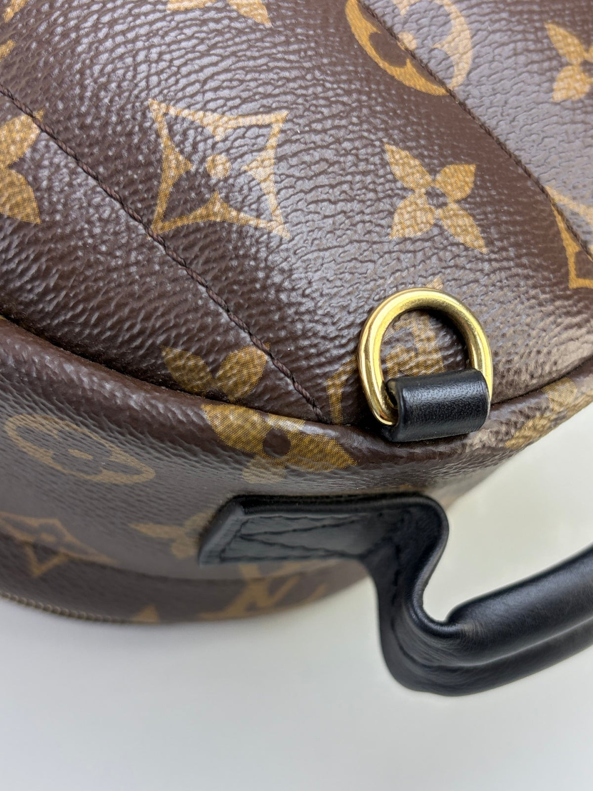 Louis Vuitton Bicolor Palm Springs Mini Backpack Bag