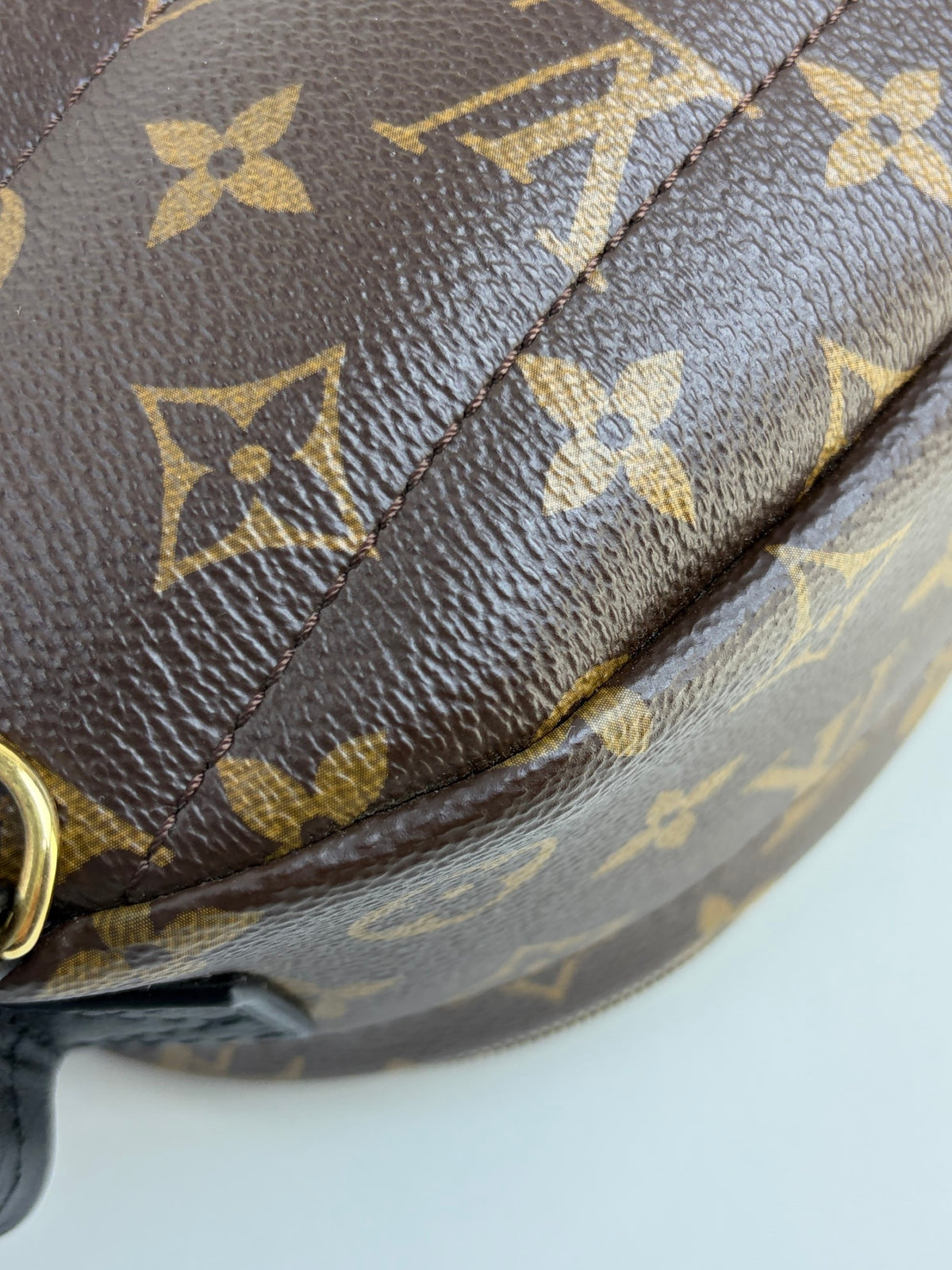 Louis Vuitton Bicolor Palm Springs Mini Backpack Bag