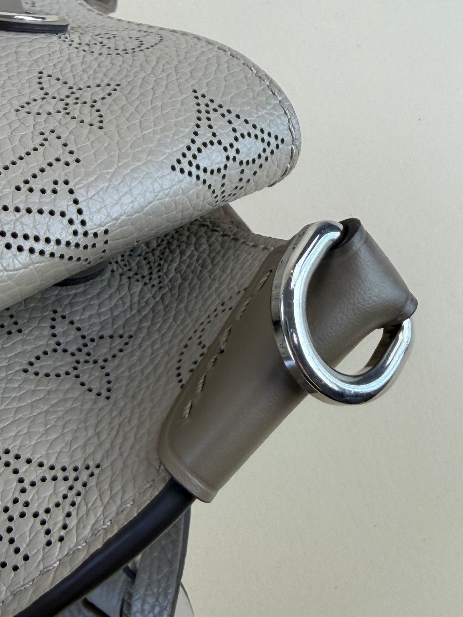 Louis Vuitton monogram Mahina calf leather maria bucket bag