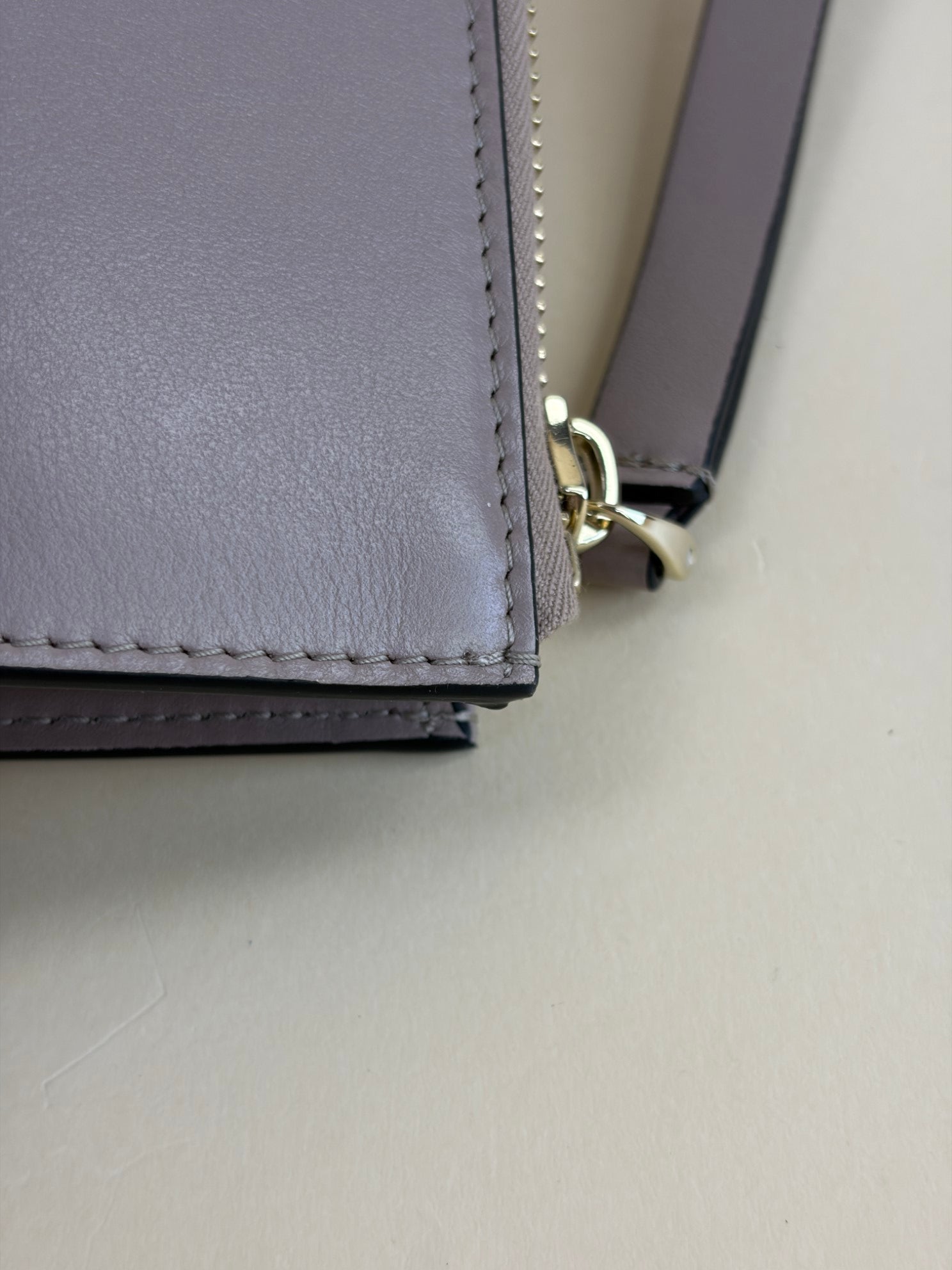 Valentino nude leather vlog walk wristlet zip clutch