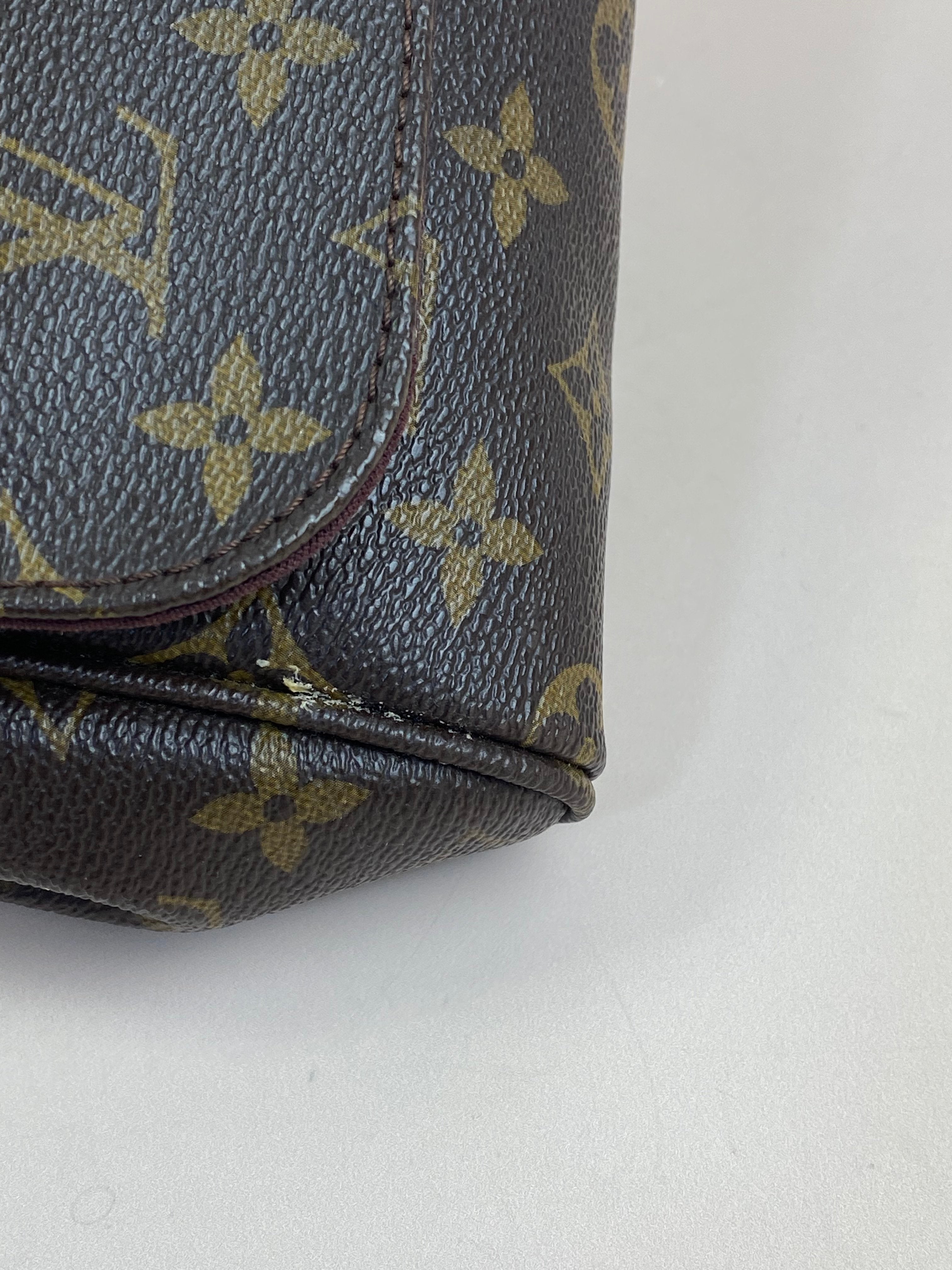 Louis Vuitton Monogram Favorite MM Crossbody Bag