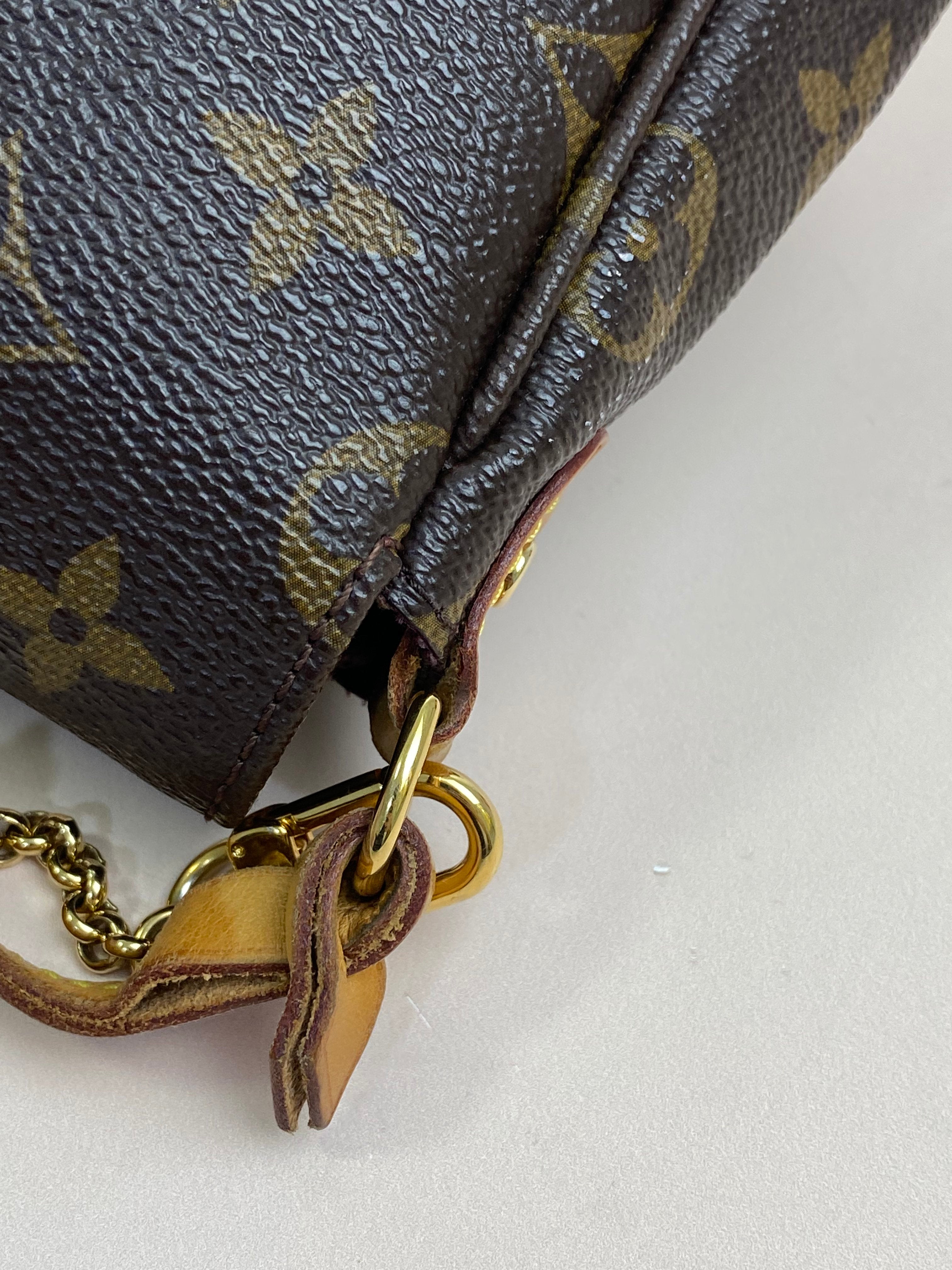 Louis Vuitton Monogram Favorite MM Crossbody Bag