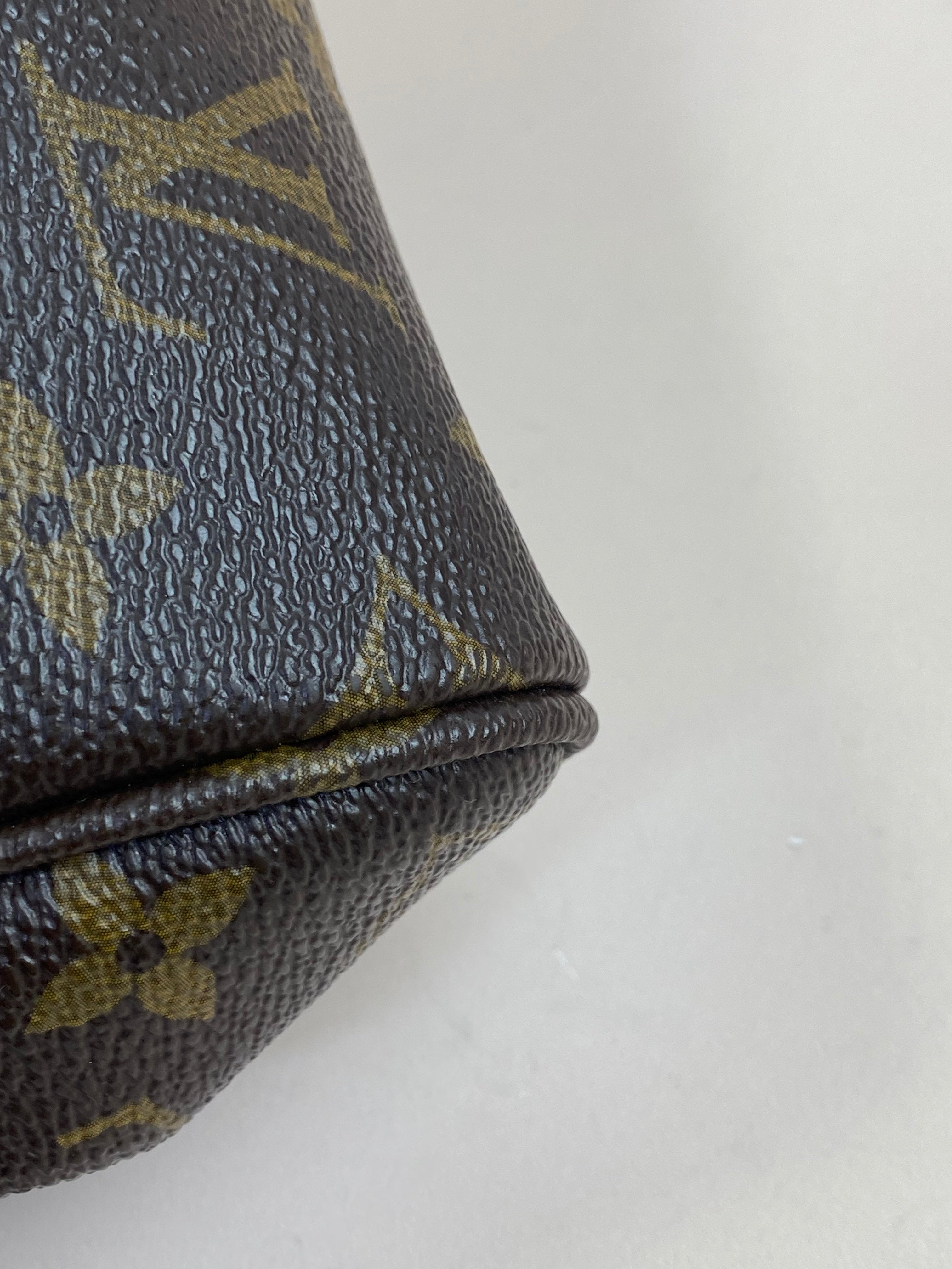 Louis Vuitton Monogram Favorite MM Crossbody Bag