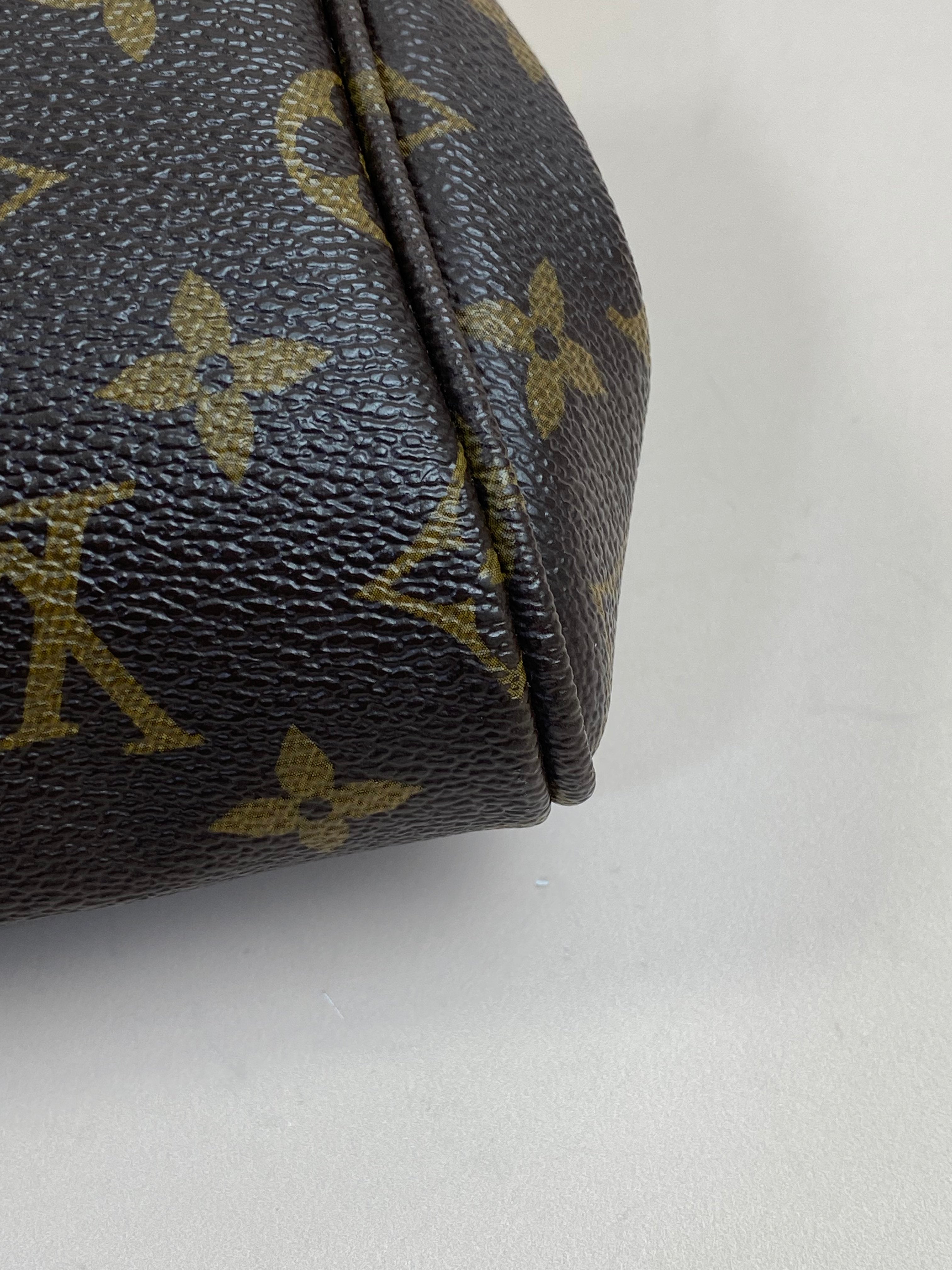 Louis Vuitton Monogram Favorite MM Crossbody Bag