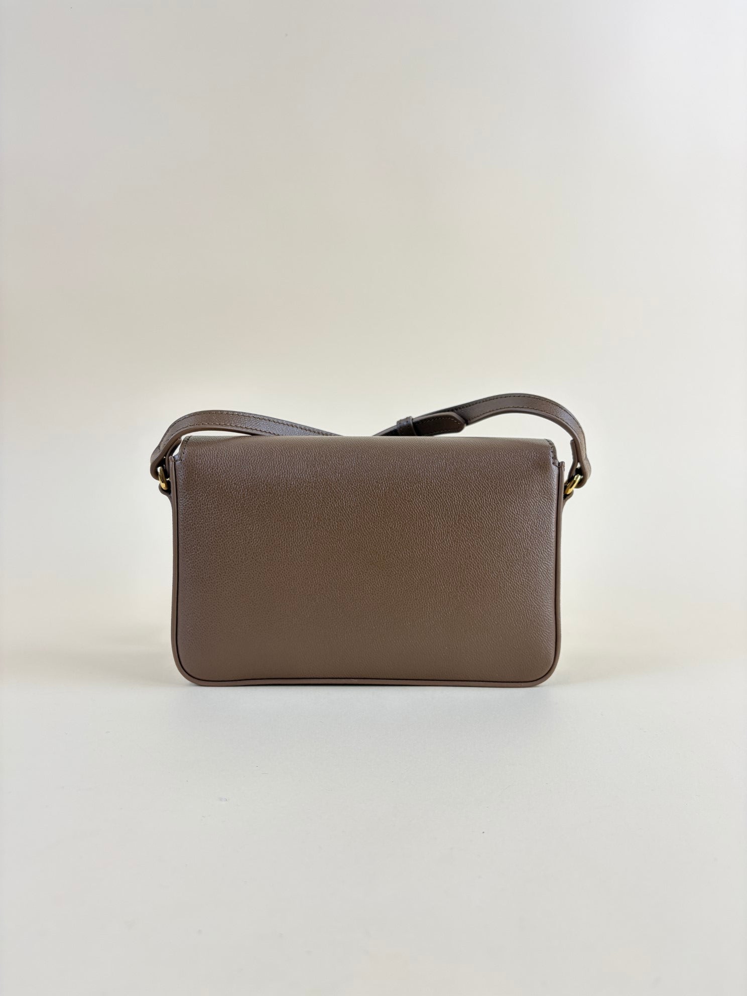 Burberry Brown New Hampshire House Check Crossbody Bag