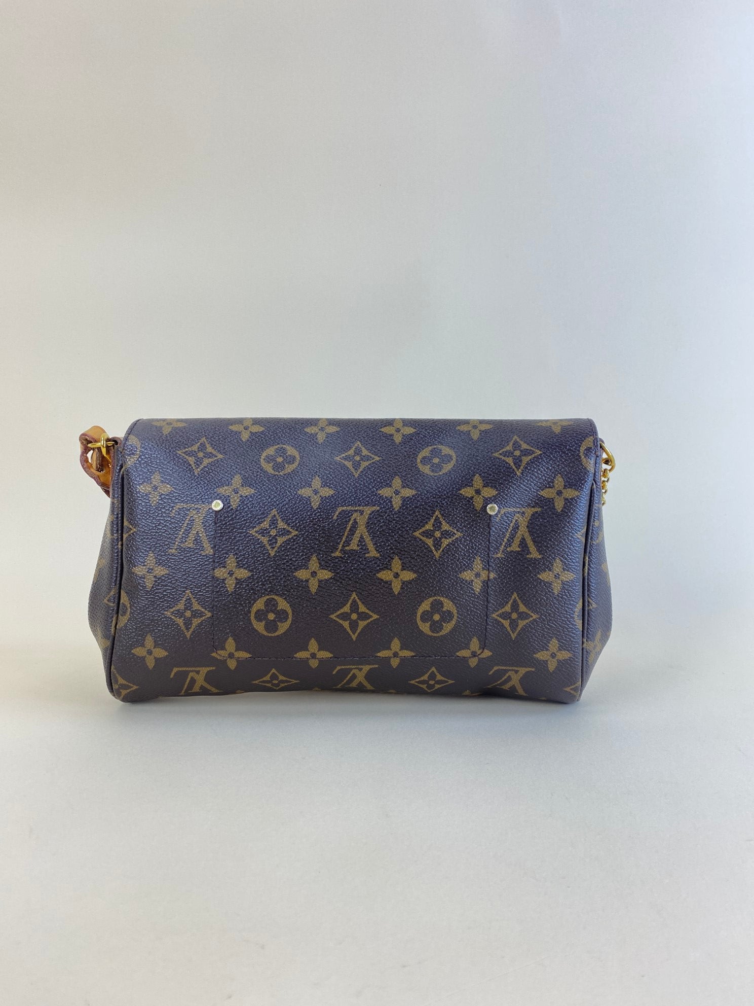 Louis Vuitton Monogram Favorite MM Crossbody Bag