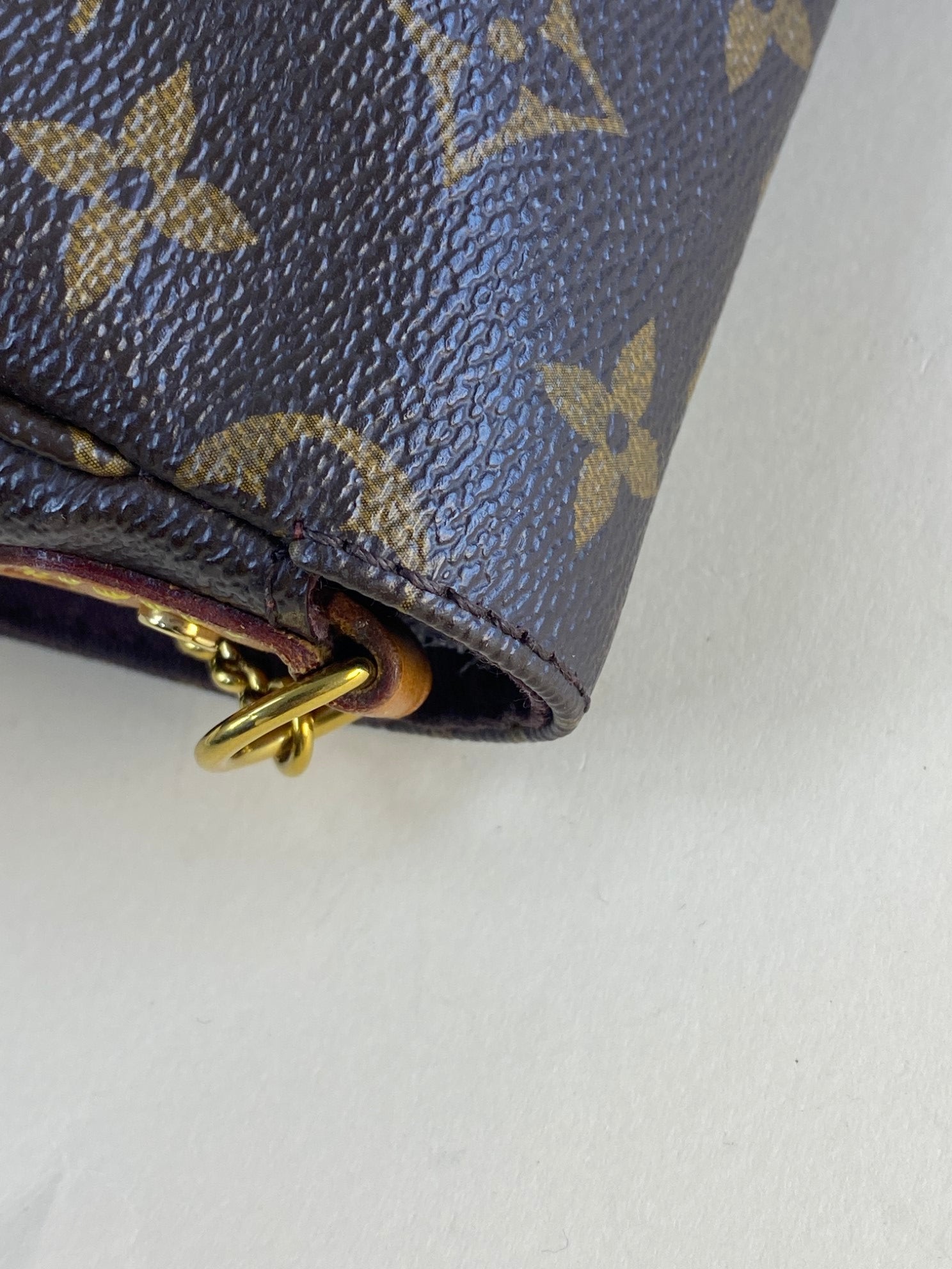 Louis Vuitton Monogram Favorite MM Crossbody Bag