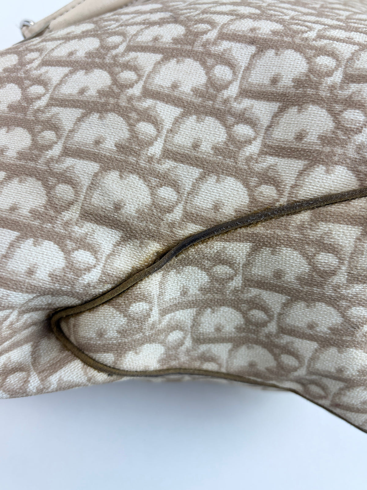 Dior beige monogram vintage trotter canvas romantic tote bag