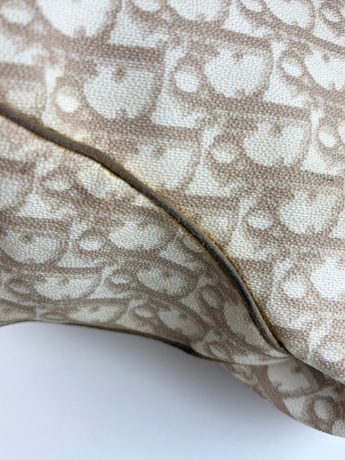 Dior beige monogram vintage trotter canvas romantic tote bag