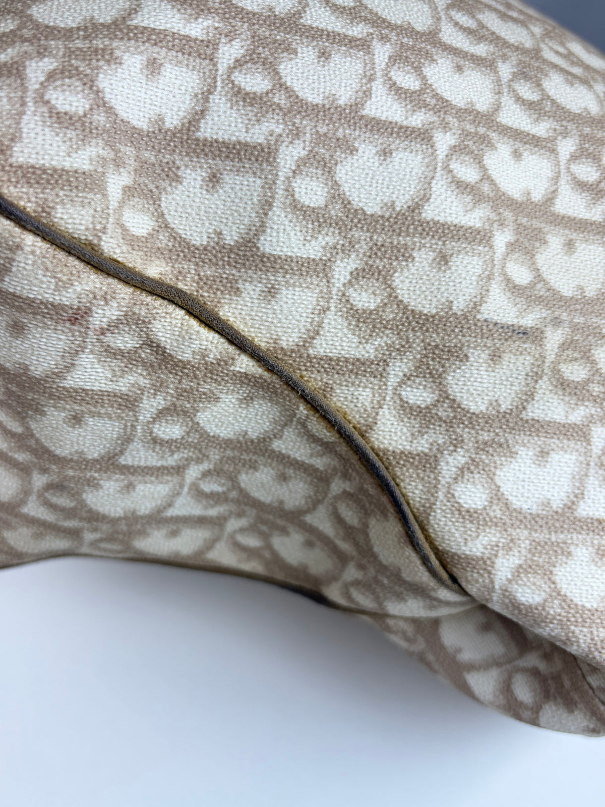 Dior beige monogram vintage trotter canvas romantic tote bag