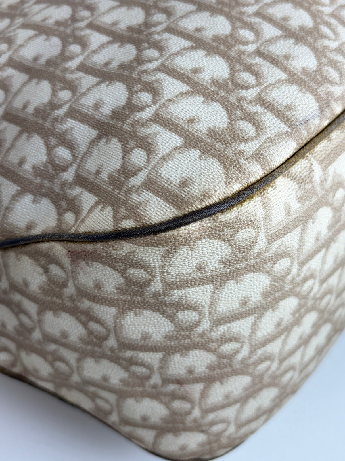Dior beige monogram vintage trotter canvas romantic tote bag