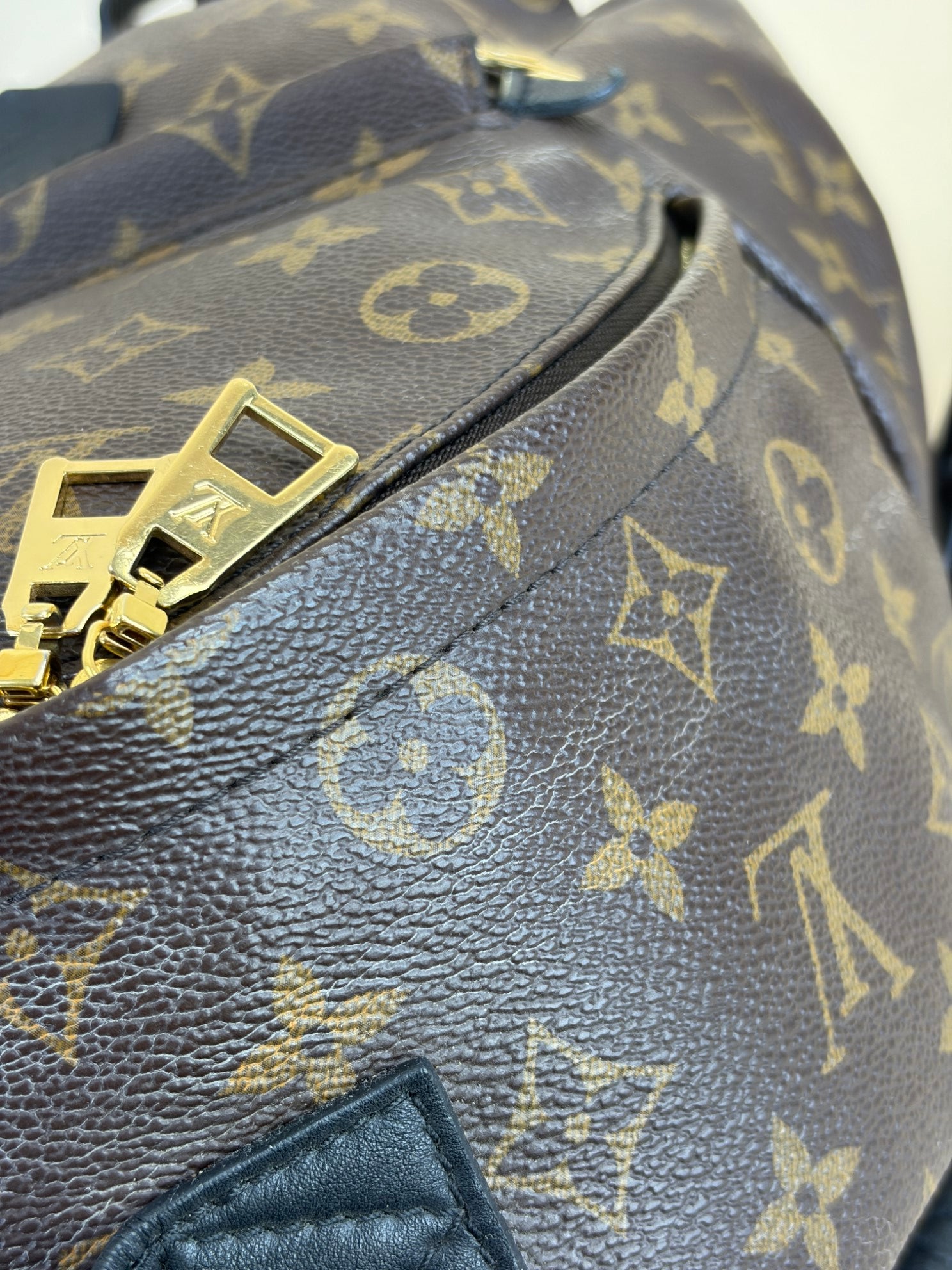 Louis Vuitton Monogram Palm Spring PM BackPack Bag