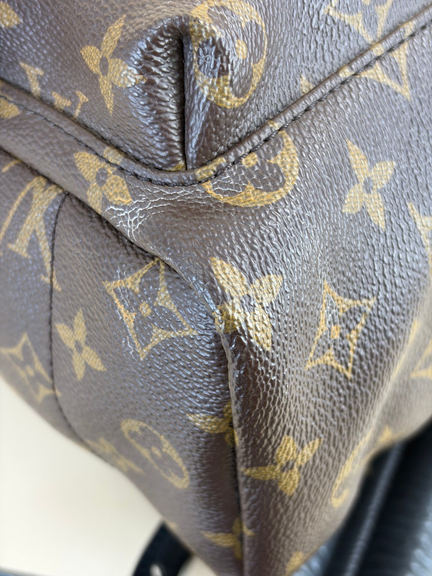 Louis Vuitton Monogram Palm Spring PM BackPack Bag