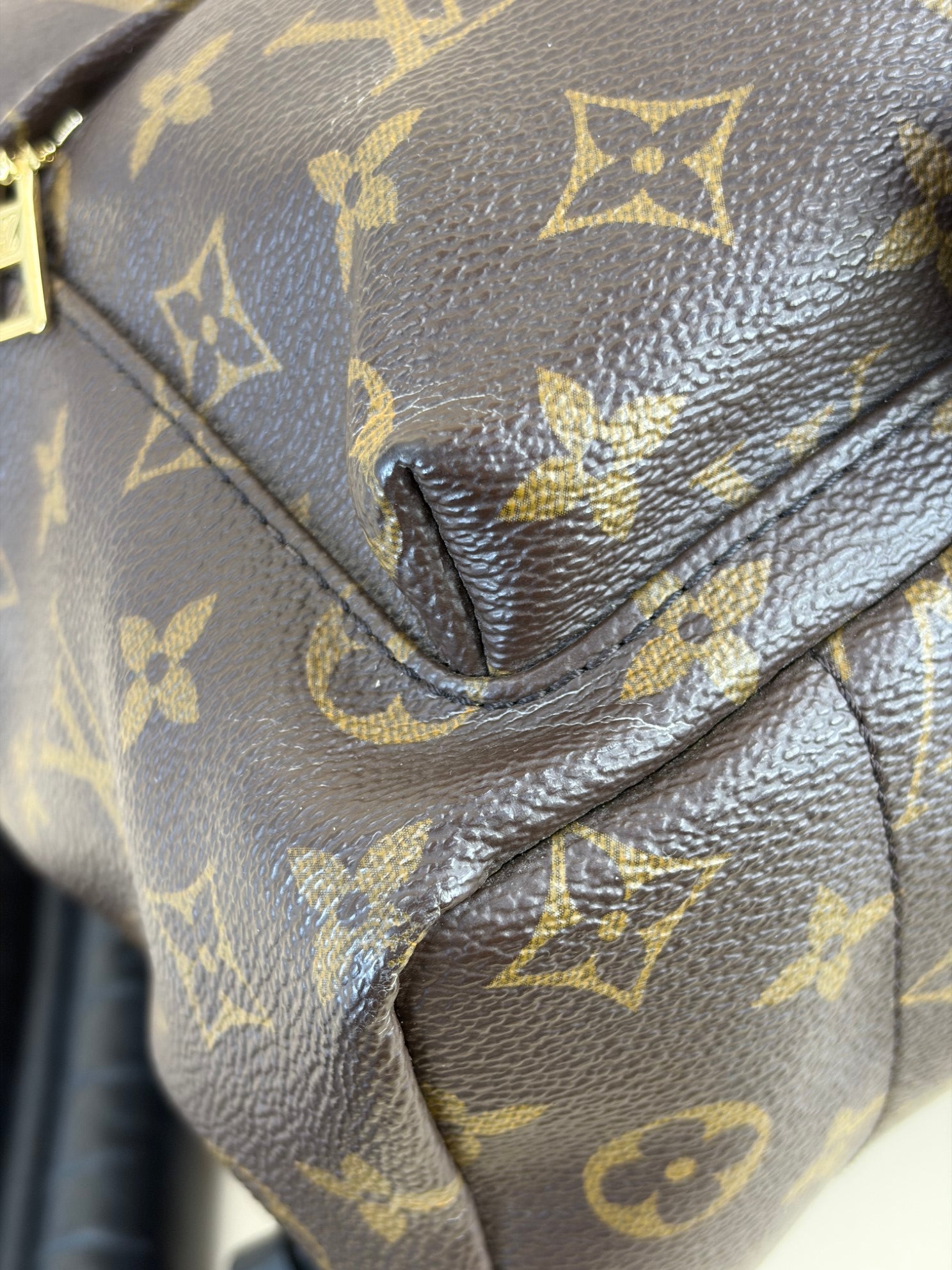 Louis Vuitton Monogram Palm Spring PM BackPack Bag