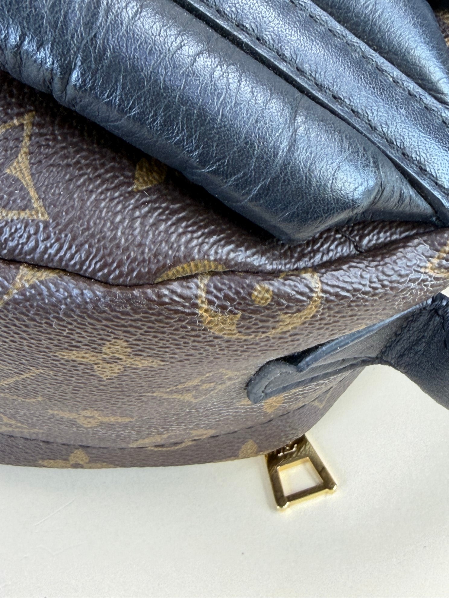 Louis Vuitton Monogram Palm Spring PM BackPack Bag