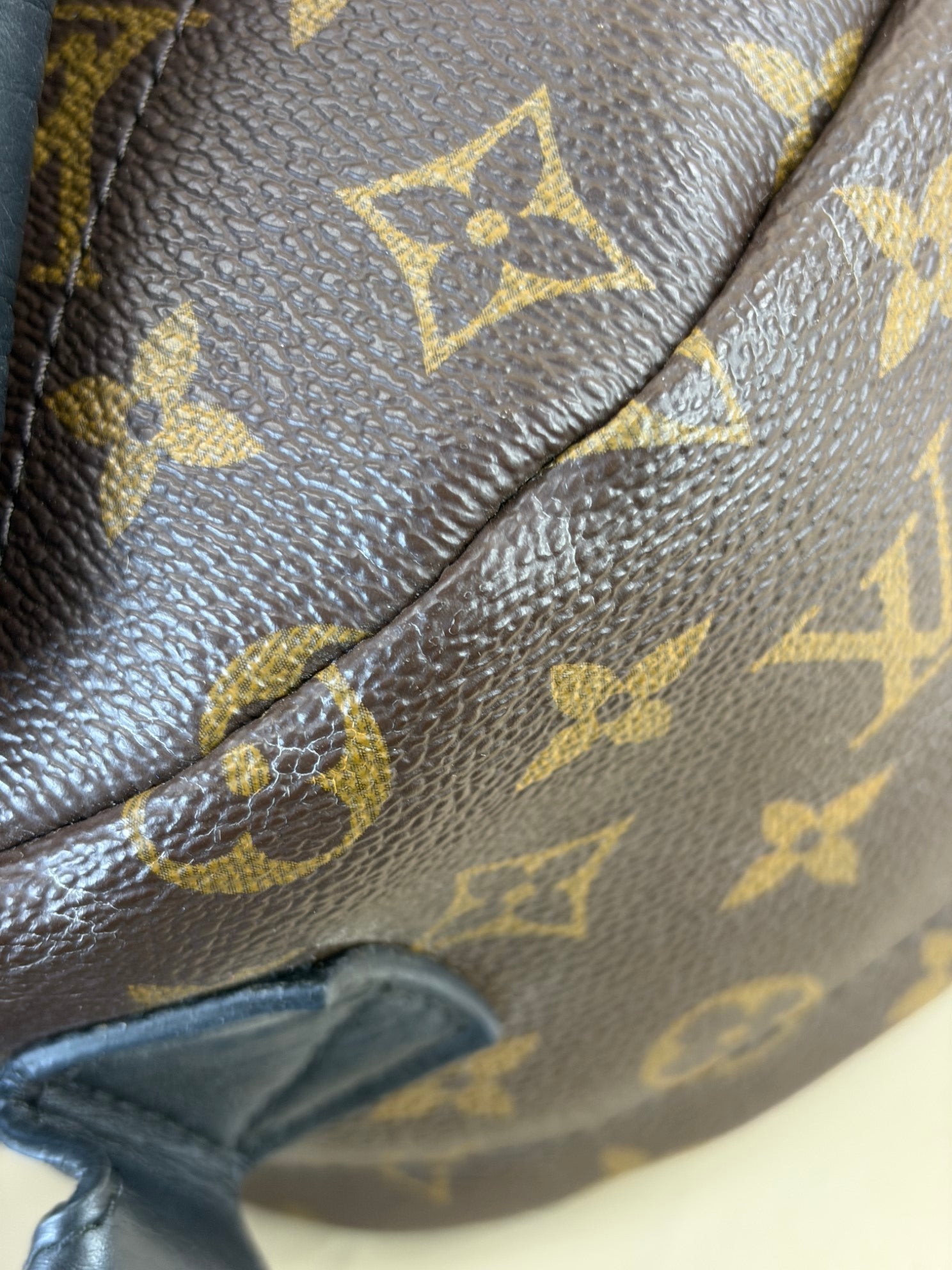 Louis Vuitton Monogram Palm Spring PM BackPack Bag