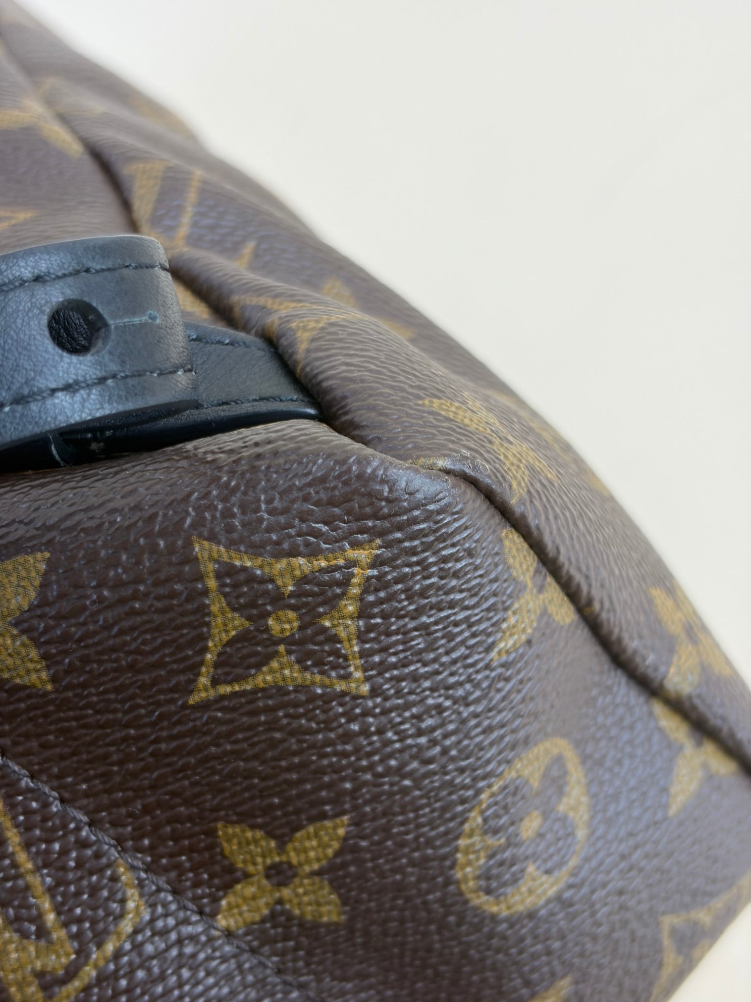 Louis Vuitton Monogram Palm Spring PM BackPack Bag