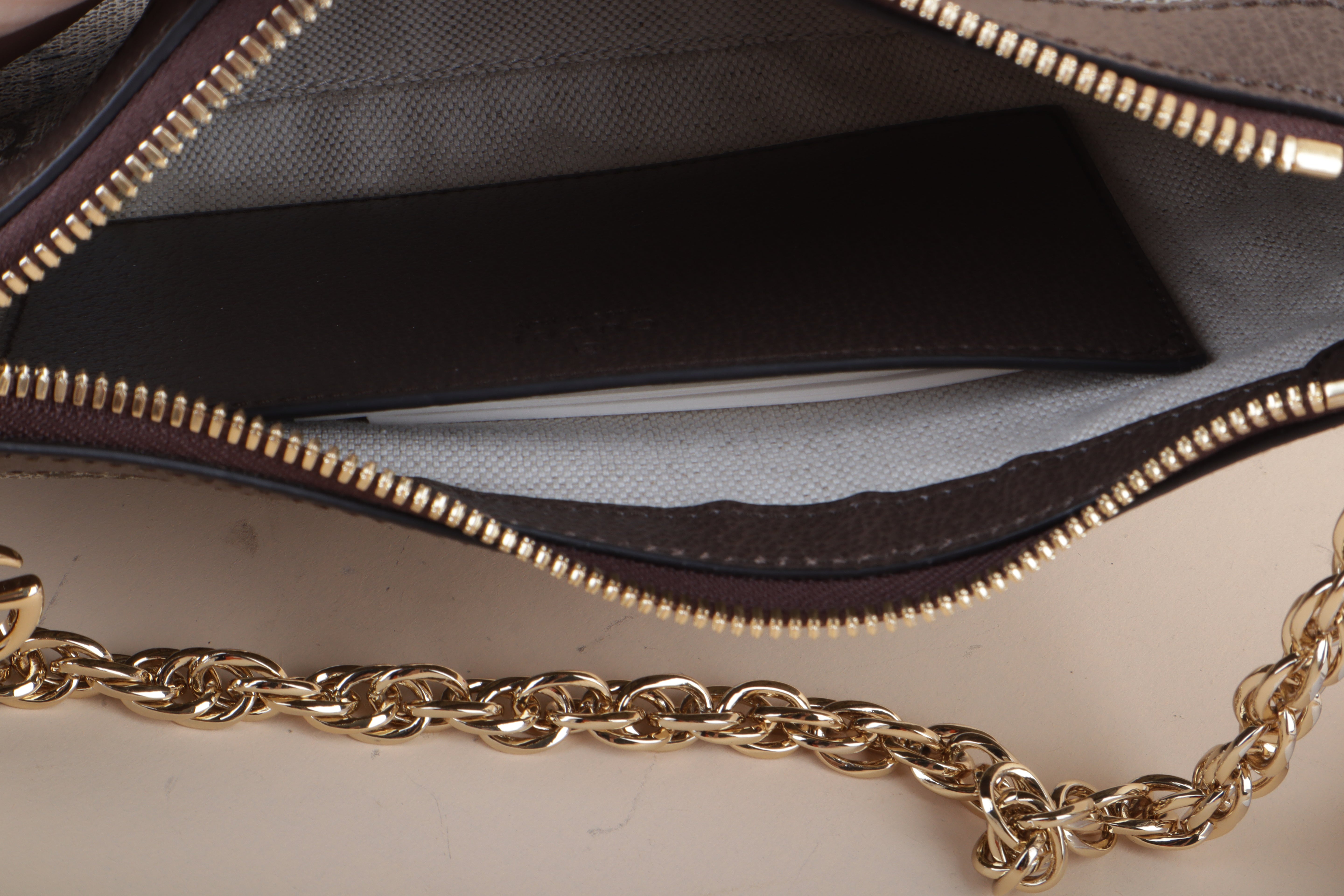 GUCCI gg Ophidia Chain Hobo