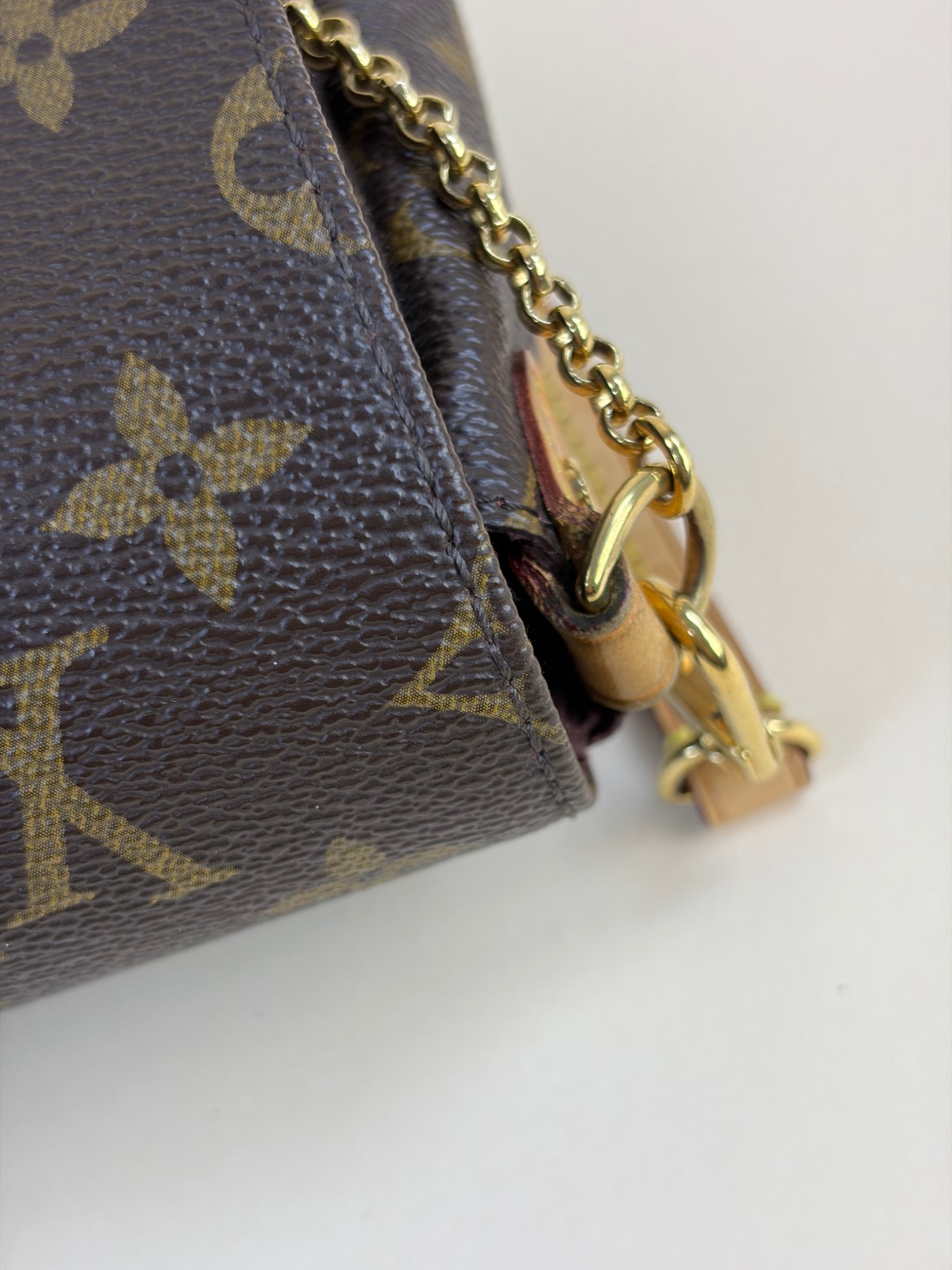 Louis Vuitton Monogram Favorite MM Crossbody Bag with Strap